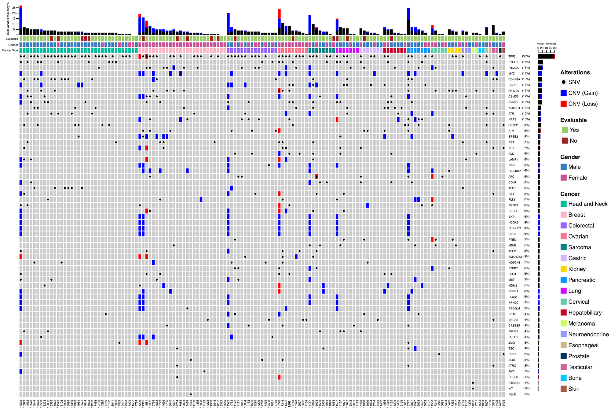 Landscape of genomic alterations in the Intent to Treat (ITT) population.