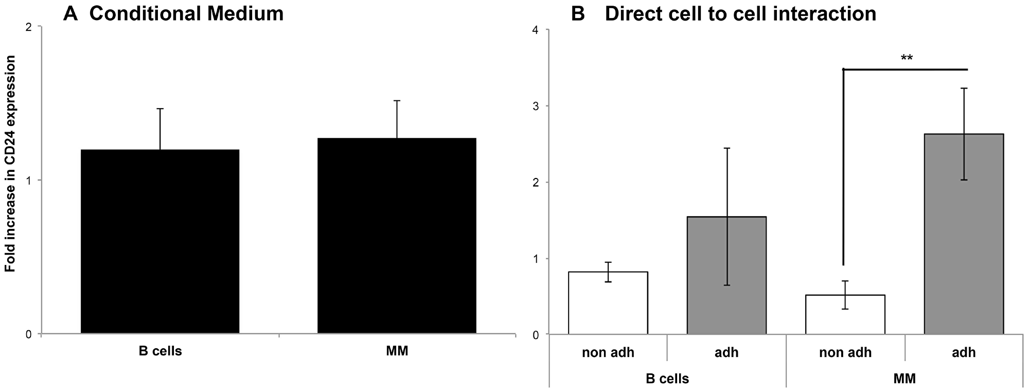 Direct interaction with the BMSC is necessary for CD24 up-regulation in MM and B cells.
