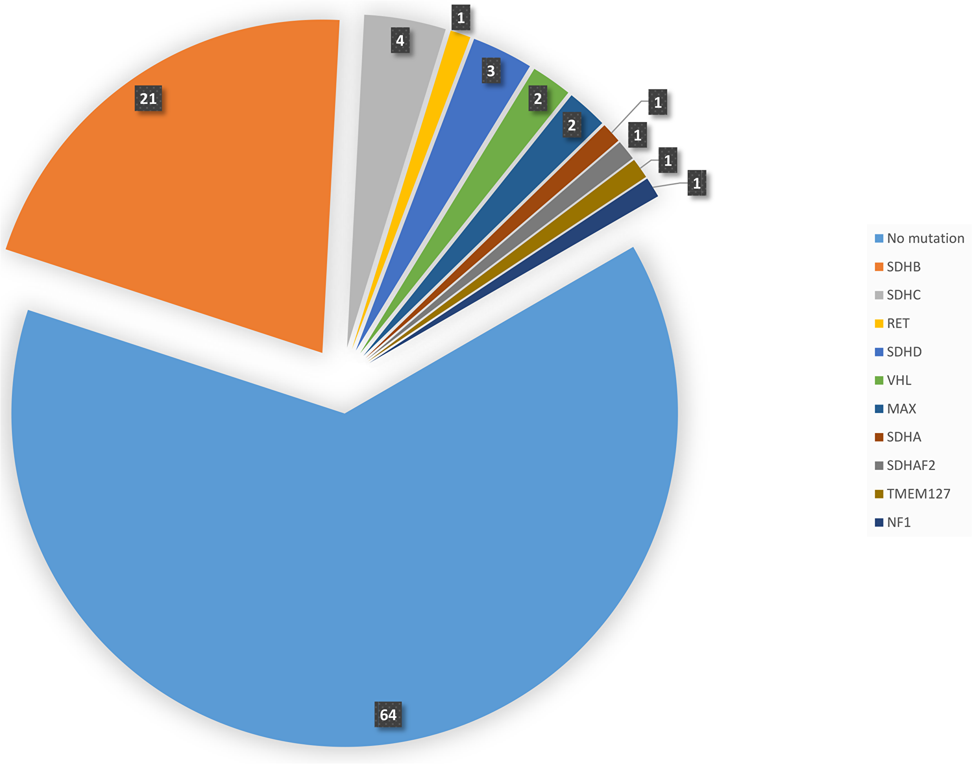 Pie diagram showing the distribution and number of cases with germline mutations in different gene.