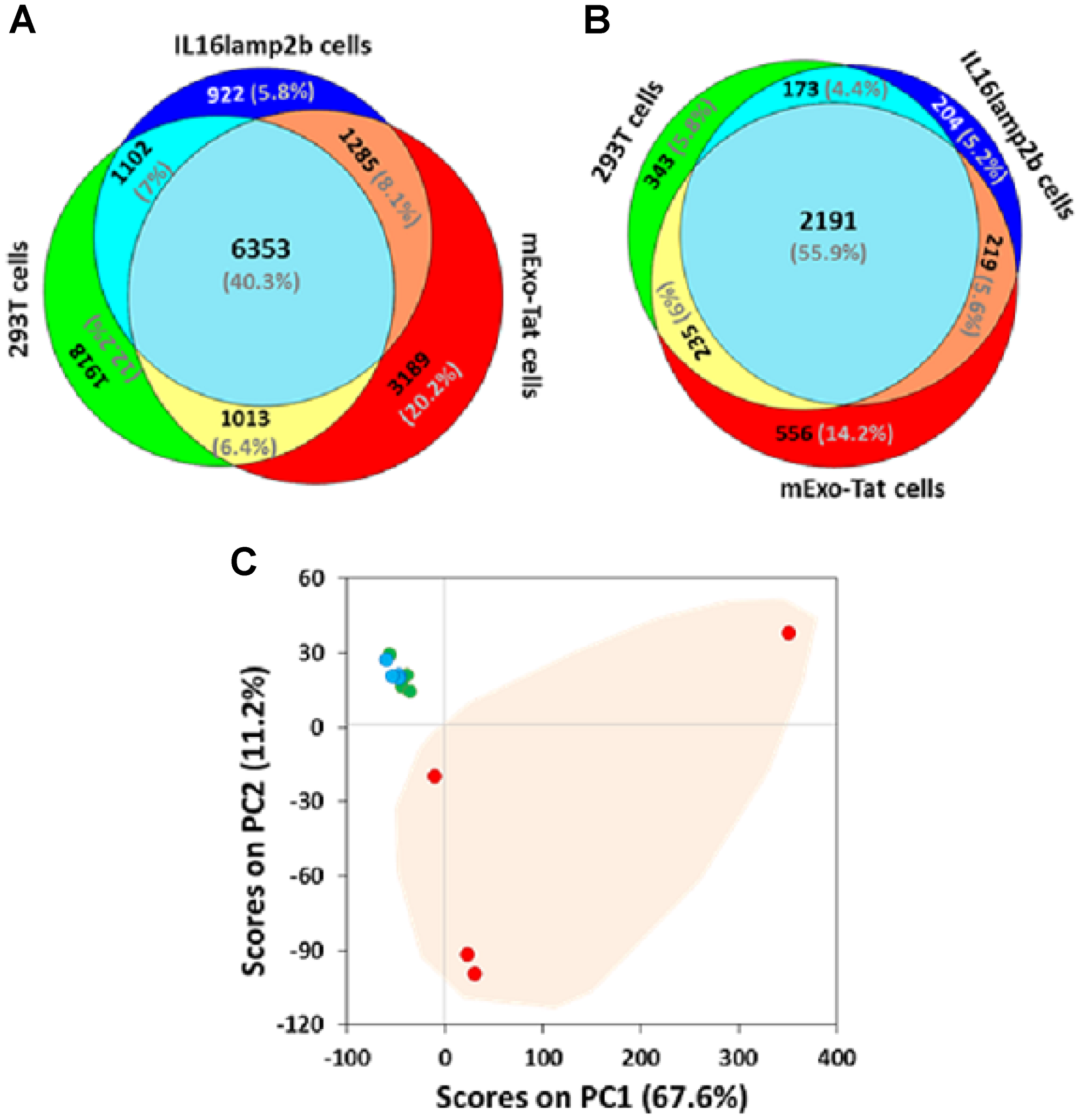 Comparative proteomic profiling of the peptides/proteins identified from 293T, IL16lamp2b and mExo-Tat samples.