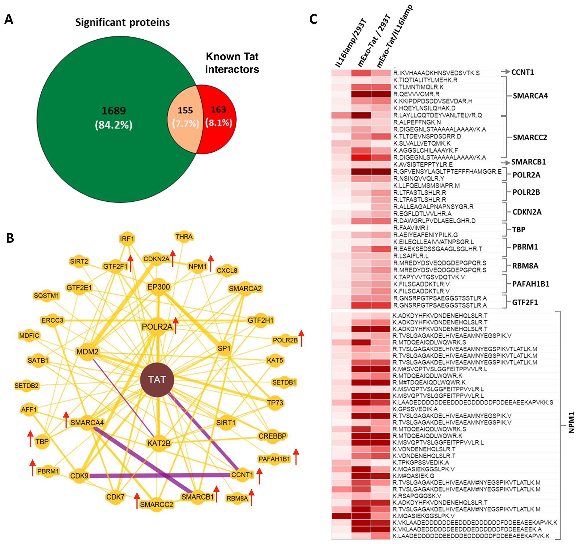 Identification and differential expression of known Tat-interactors.