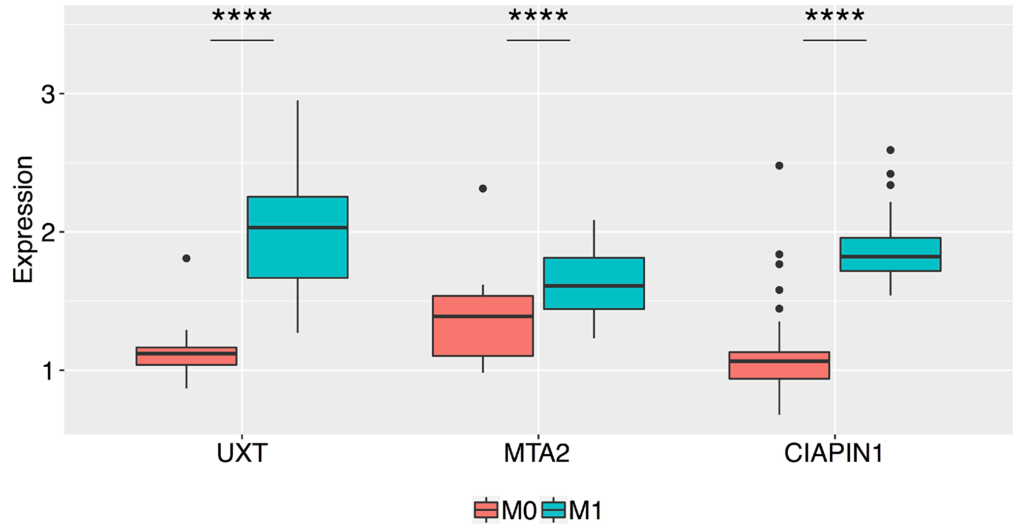 Box plots of the normalized relative expression of the UXT, MTA2, and CIAPIN1 proteins in the gastric tumor tissue of patients without metastasis (M0) and with metastasis (M1) (****P &lt; 0.0001).