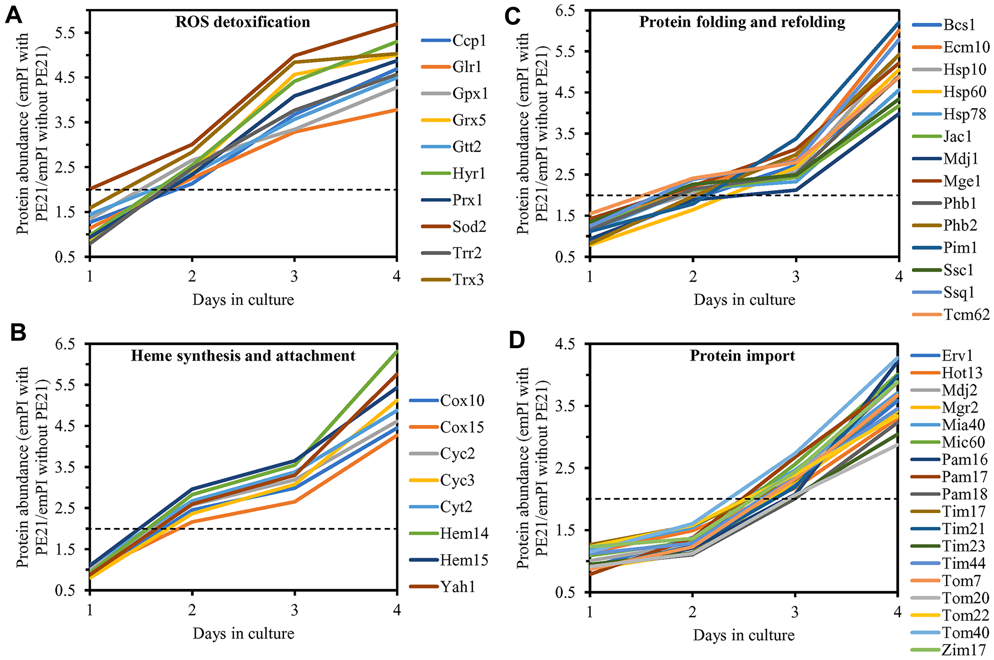 PE21 increases the abundance of mitochondrial proteins implicated in ROS detoxification, heme synthesis and protein attachment, protein folding and refolding, and protein import into mitochondria.