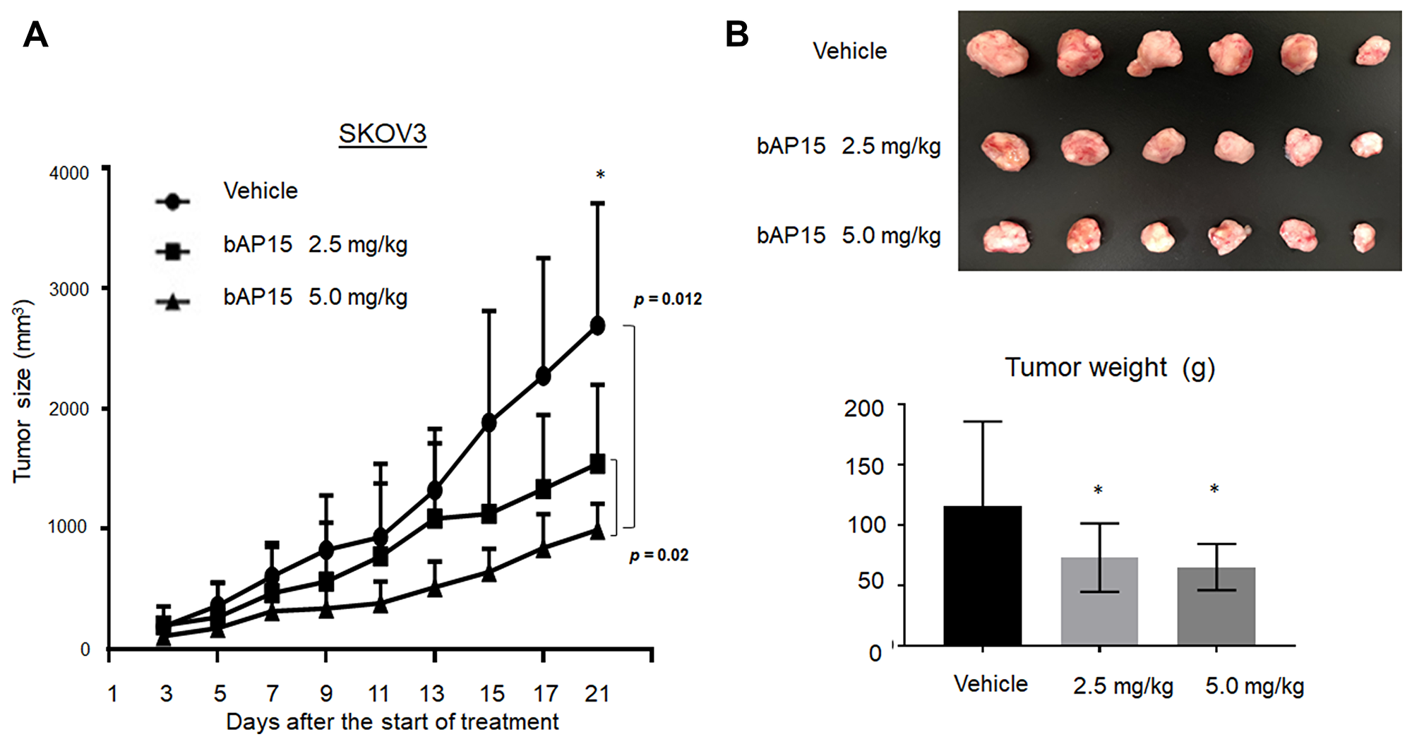 In vivo effect of bAP15 intraperitoneal treatment using SKOV3 xenograft mice models.