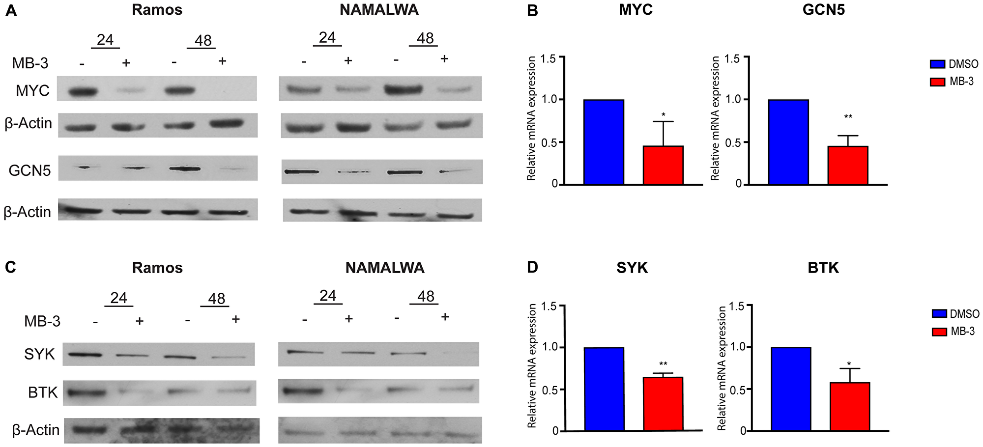 MYC target genes downregulated upon inhibition of GCN5/PCAF HAT activity.