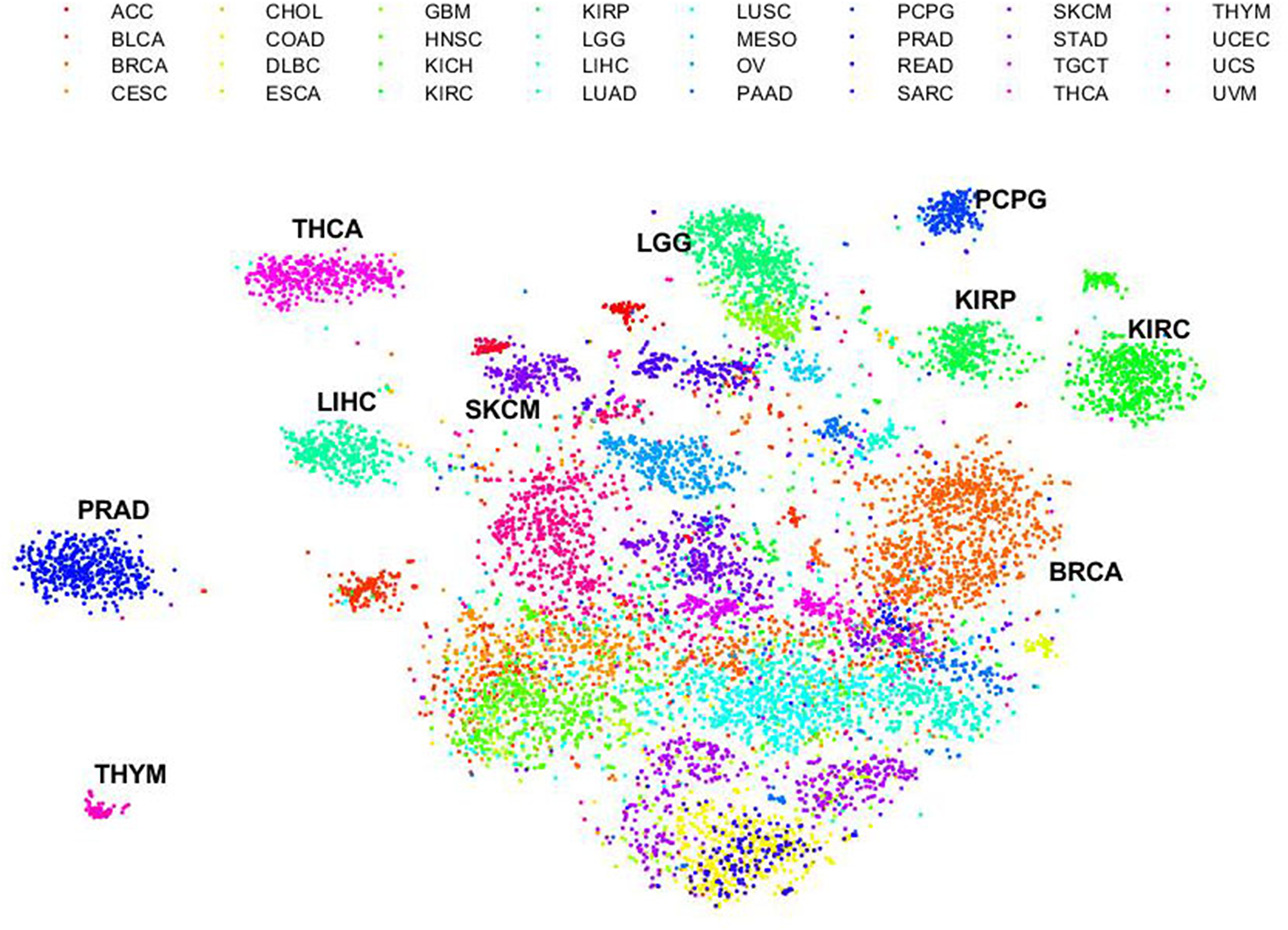 Dissimilarity of immune gene expression profiling across human cancers.