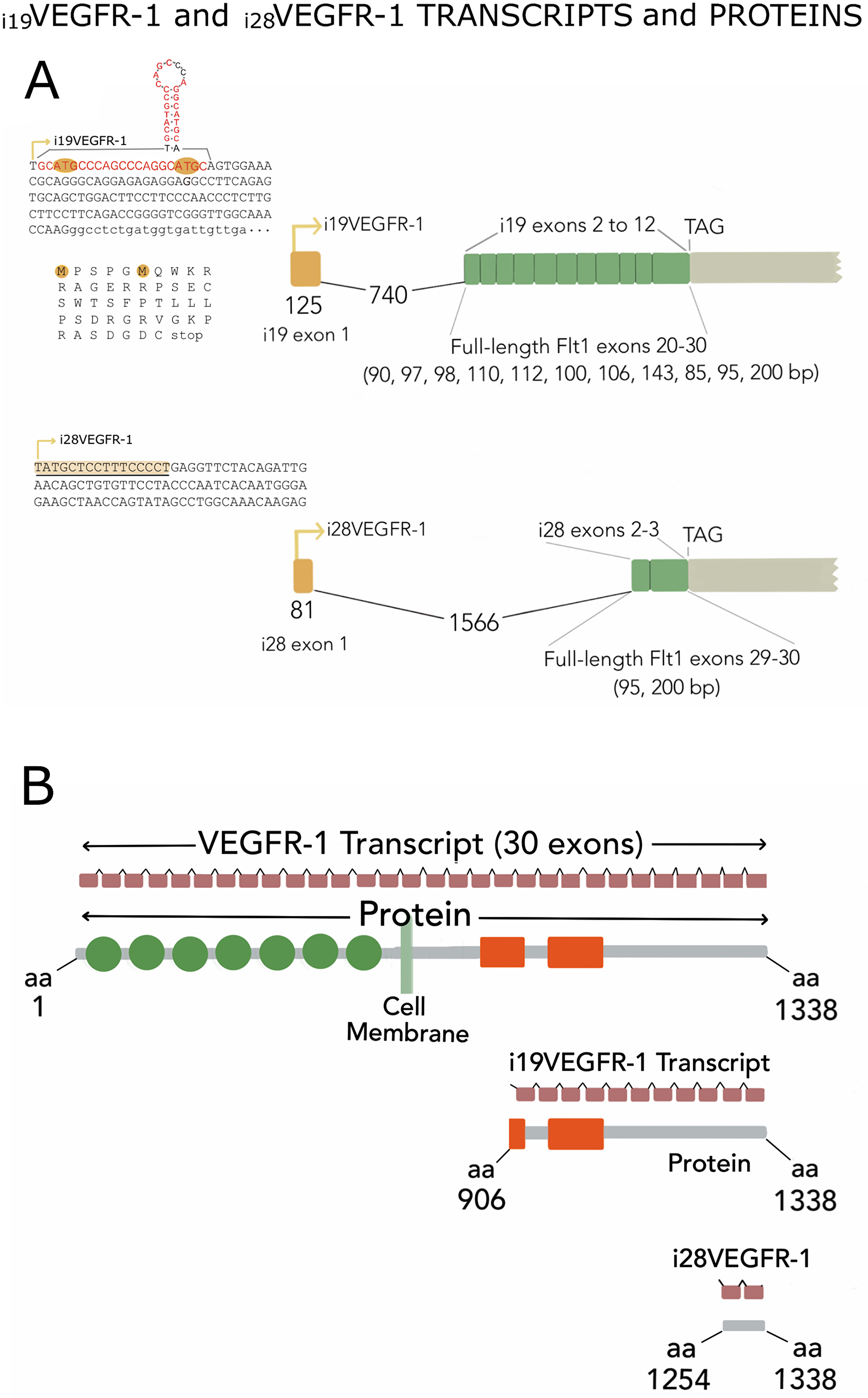 Figure 1: