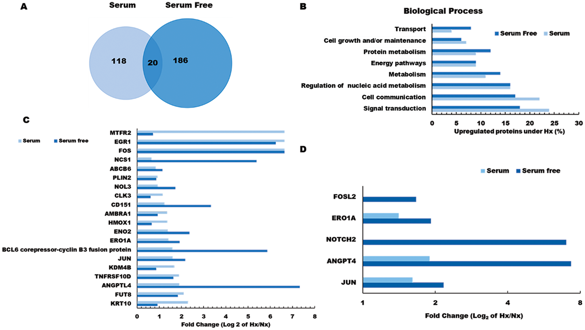 Gene ontology analysis of hypoxia effects on the pancreatic tumor cell proteome.