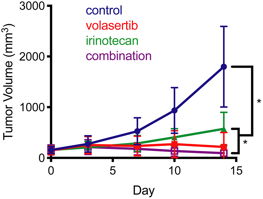 Xenograft studies of irinotecan and volasertib.