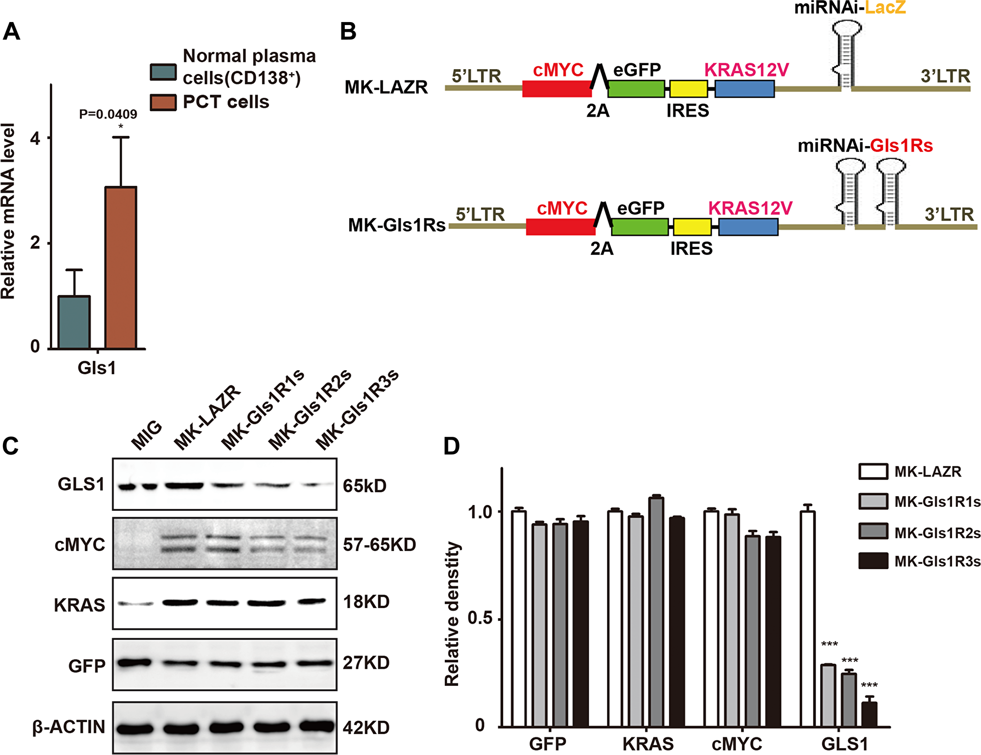 GLS1 was required for cMYC/kRAS12V transforming BaF3 cells independent of IL3.