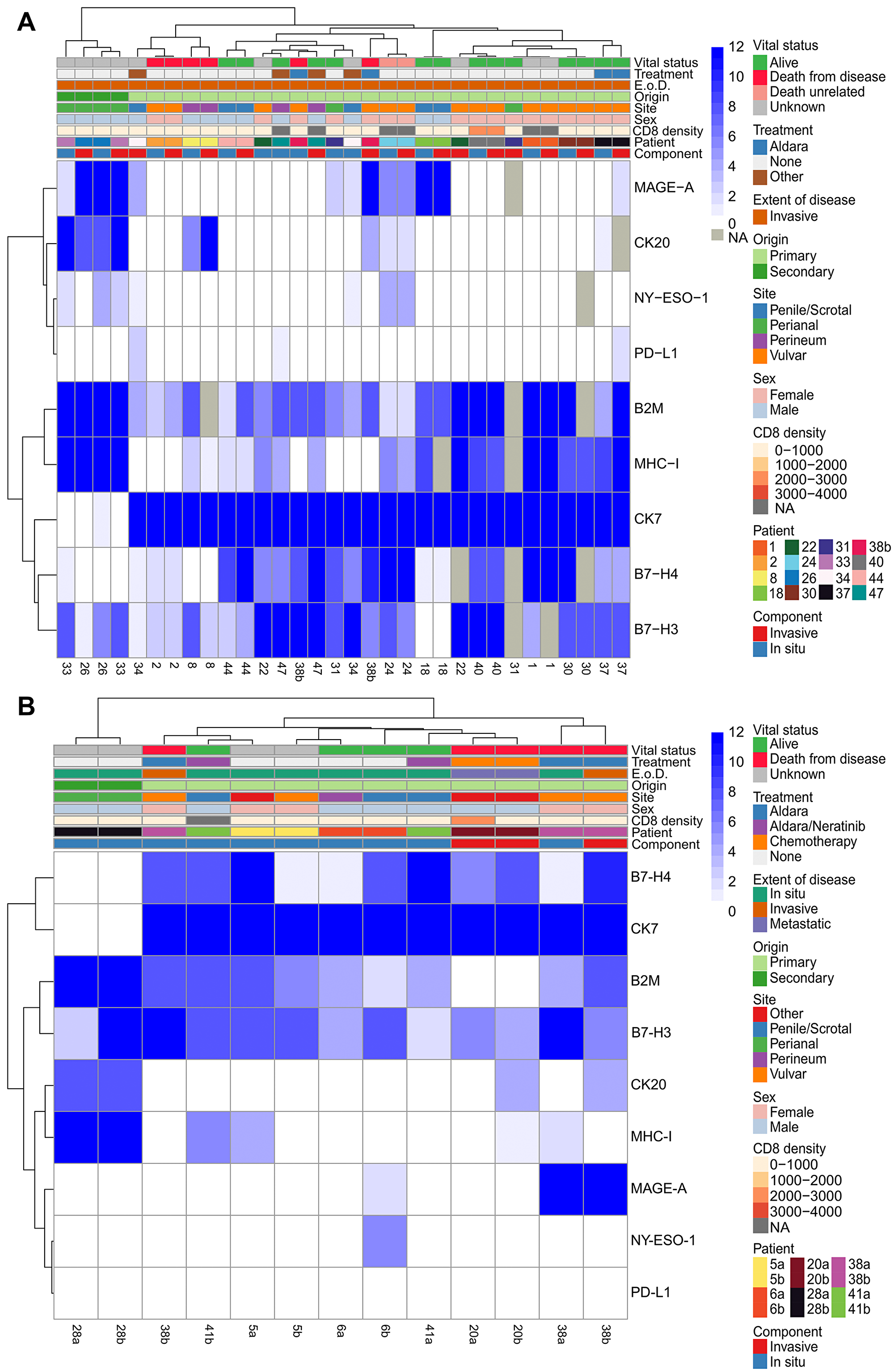 Hierarchical clustering of in situ and invasive components of the same tumor and multiple longitudinal resections.