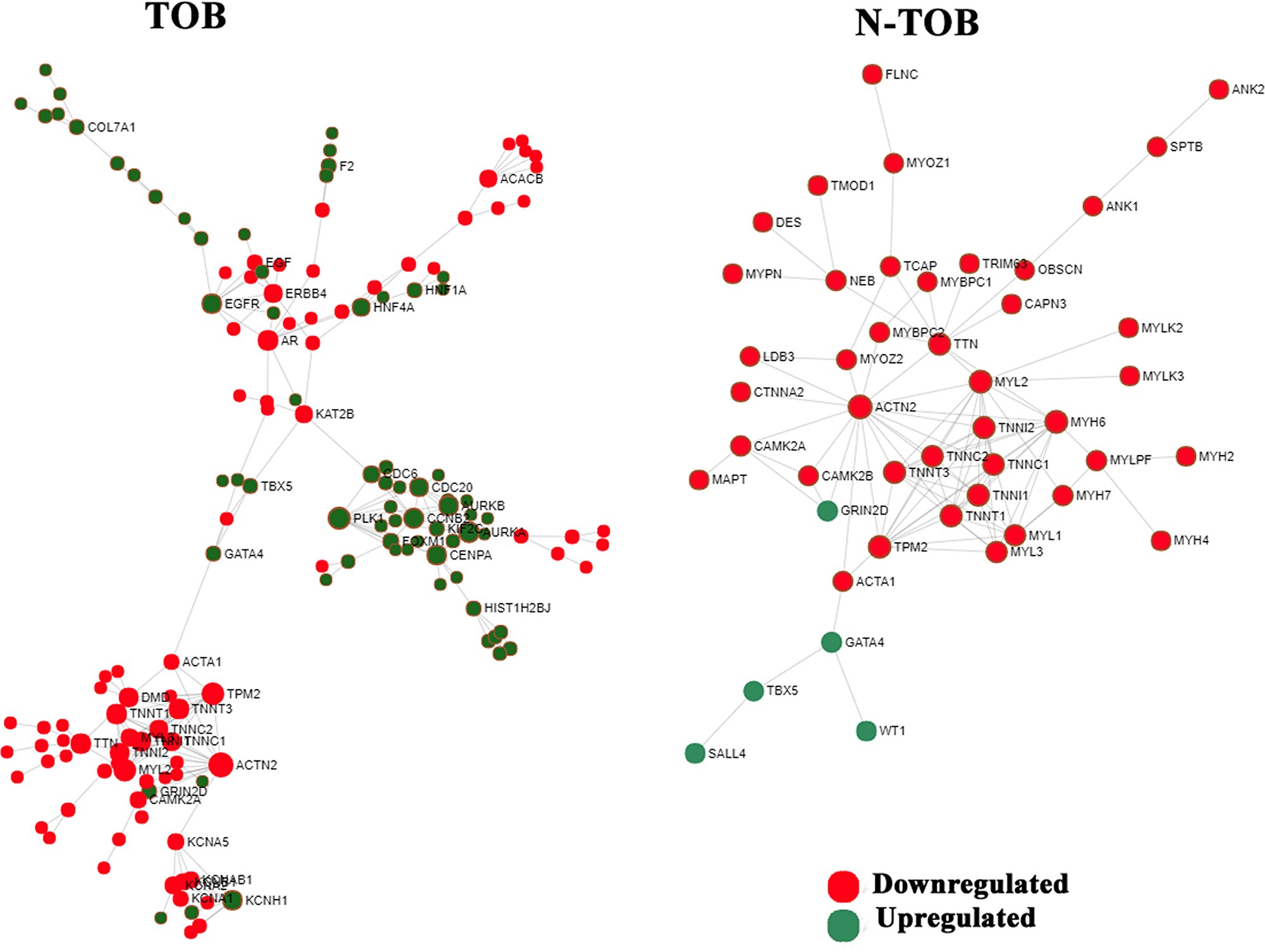 Network based meta-analysis of hub genes.