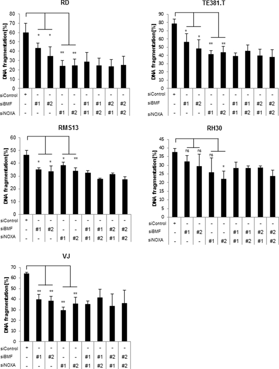 NOXA and BMF are required for GANT61/PI103-induced apoptosis.