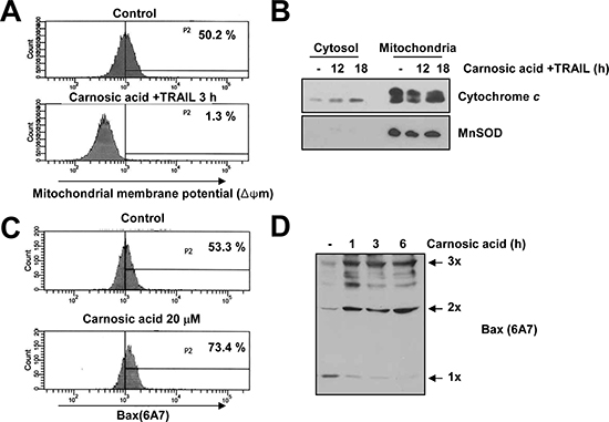 Effect of carnosic acid on mitochondria membrane potential.