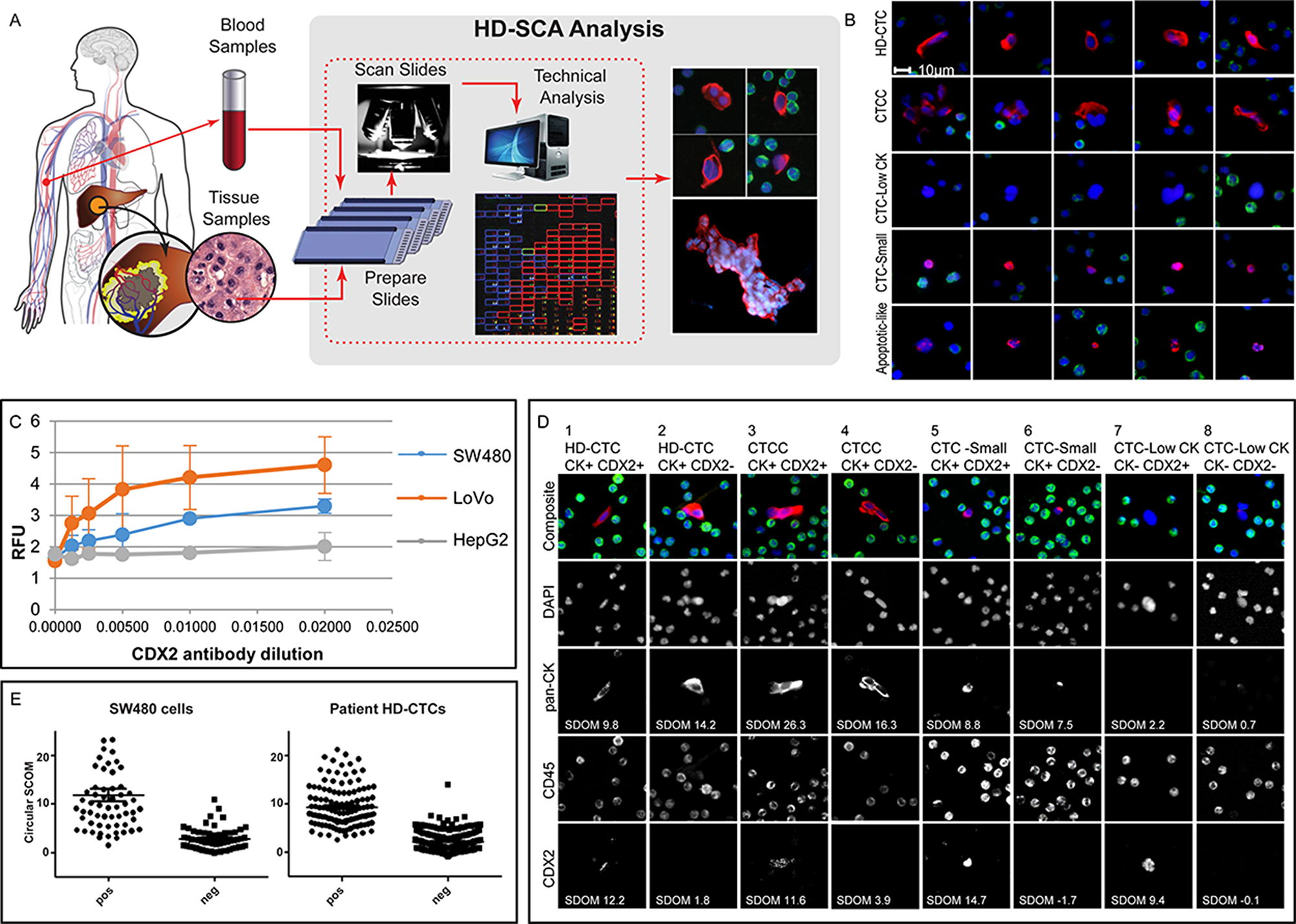 Figure 1: HD-SCA sample processing and CRC analysis overview. (A)