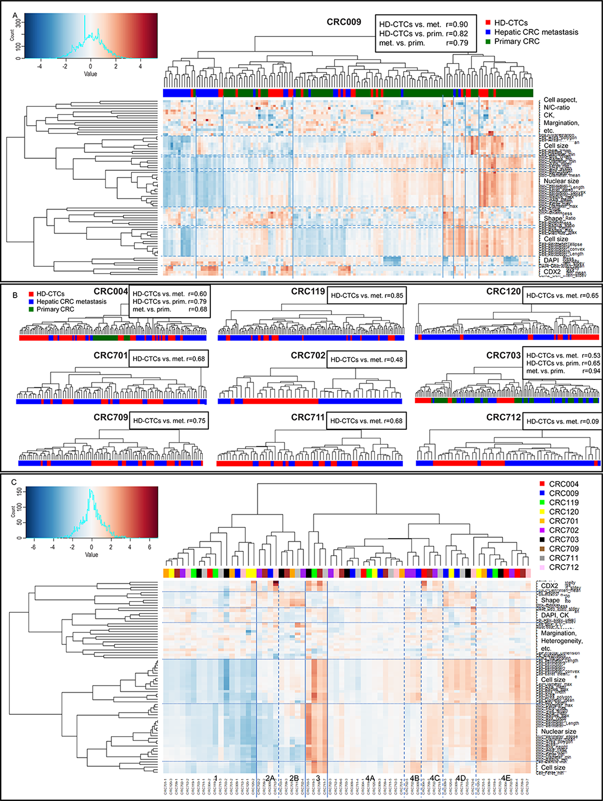 Hierarchical clustering and concordance analysis of liquid and solid biopsy cells.