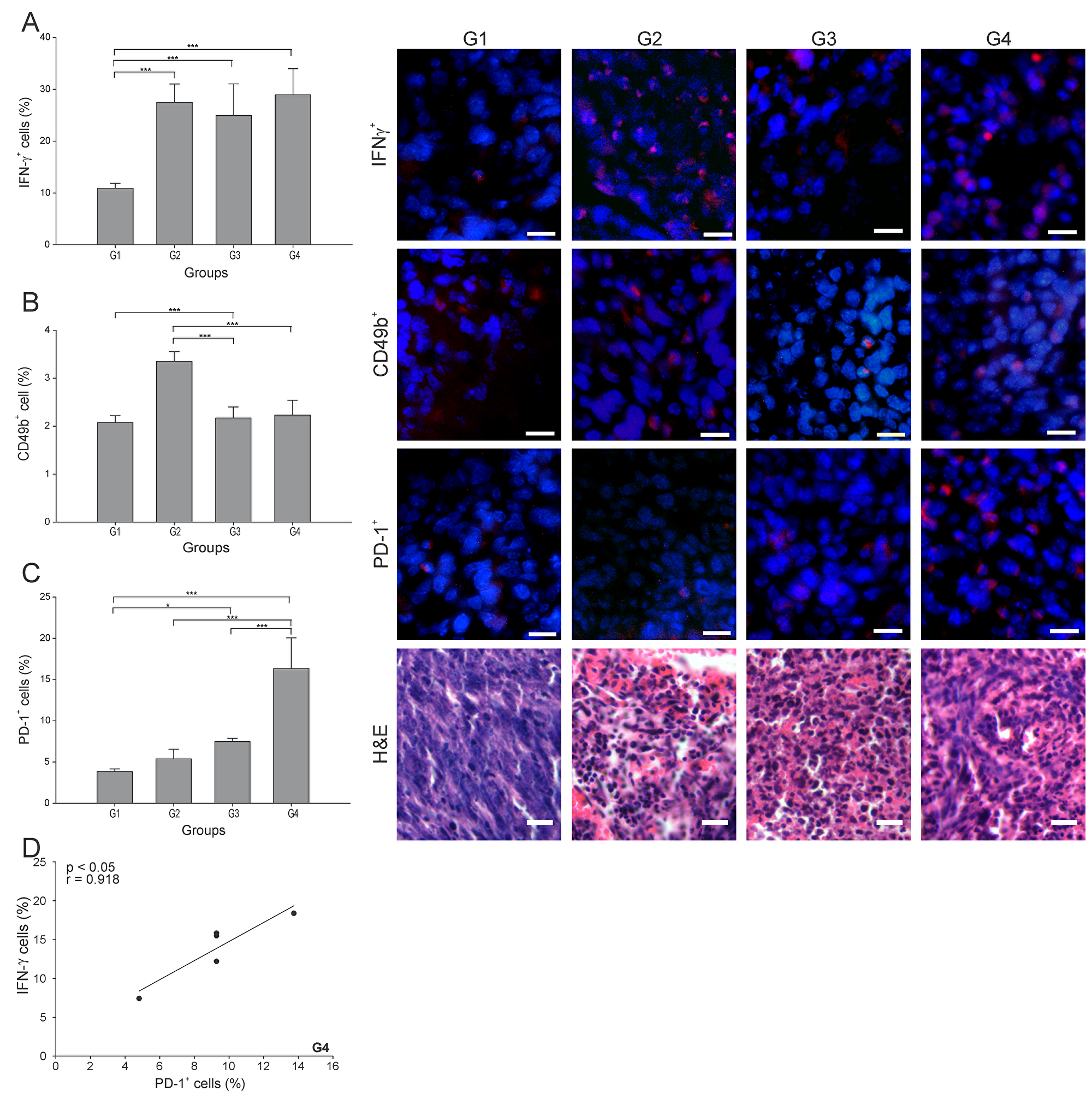 ConvitVax/anti-PD-1 combined treatment induces a marked PD-1+ cells infiltration in 4T1 tumors.