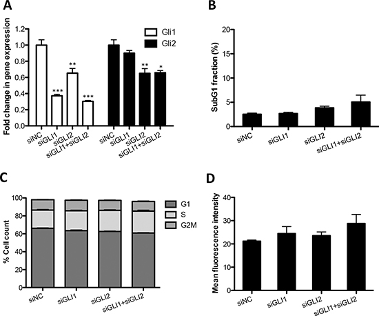 Knockdown of GLI1 and GLI2 by siRNA does not increase ROS production in MMe cells.