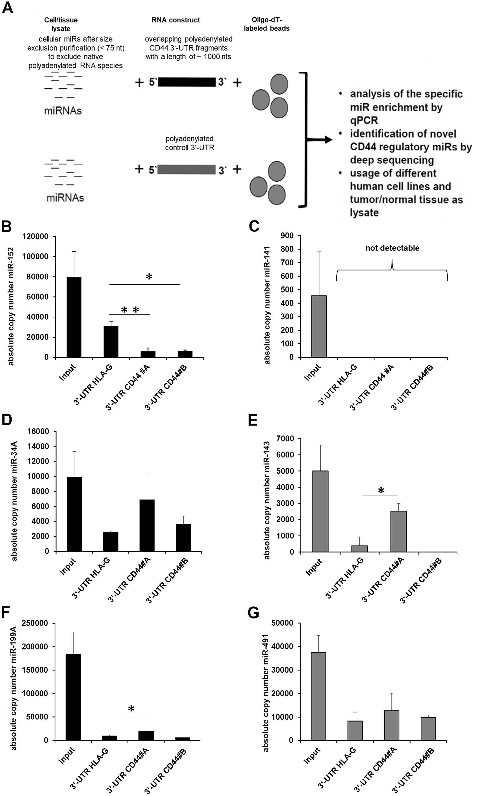 Establishment of a novel affinity based miR enrichment assay.