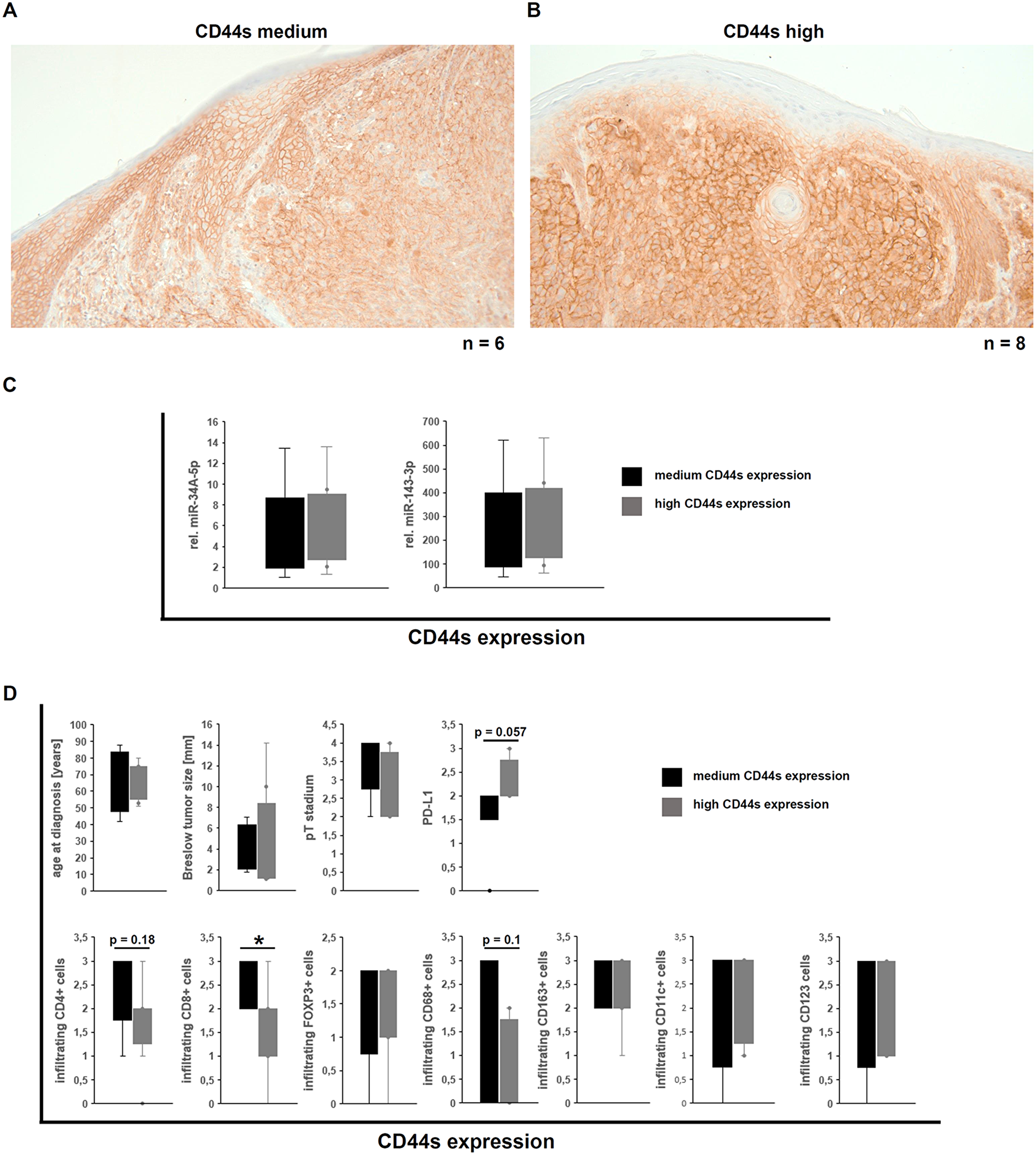 Correlation of the CD44s expression in human malignant melanoma with miR expression and immune cell infiltration and its tumor biological impact.