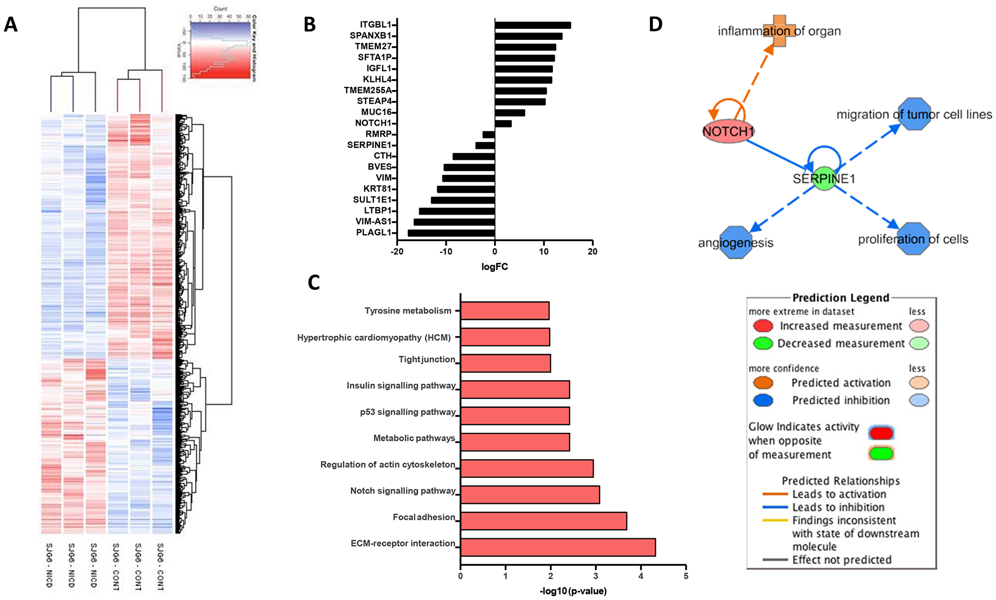 Gene expression profiling of SGJ6 cells transduced with NICD versus control.