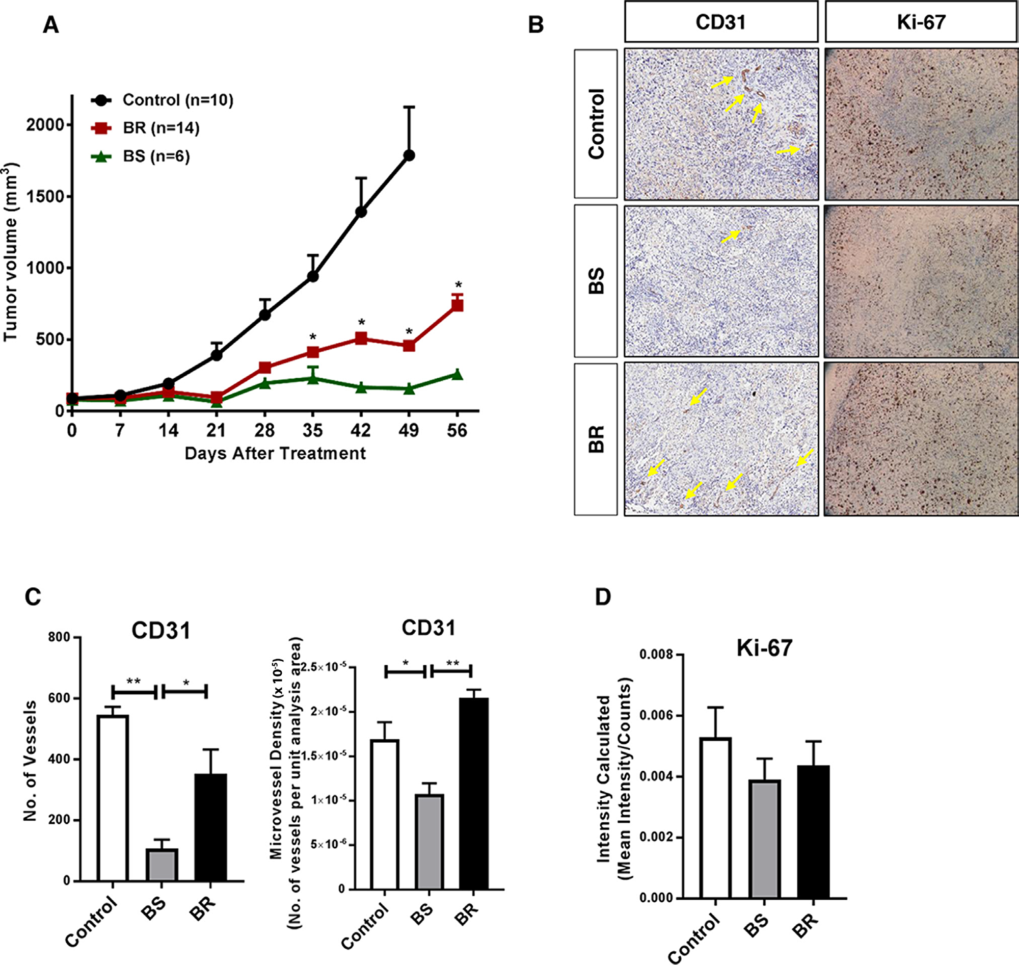 Adaptive resistance to anti-VEGF therapy in a xenograft mouse model of ovarian cancer.