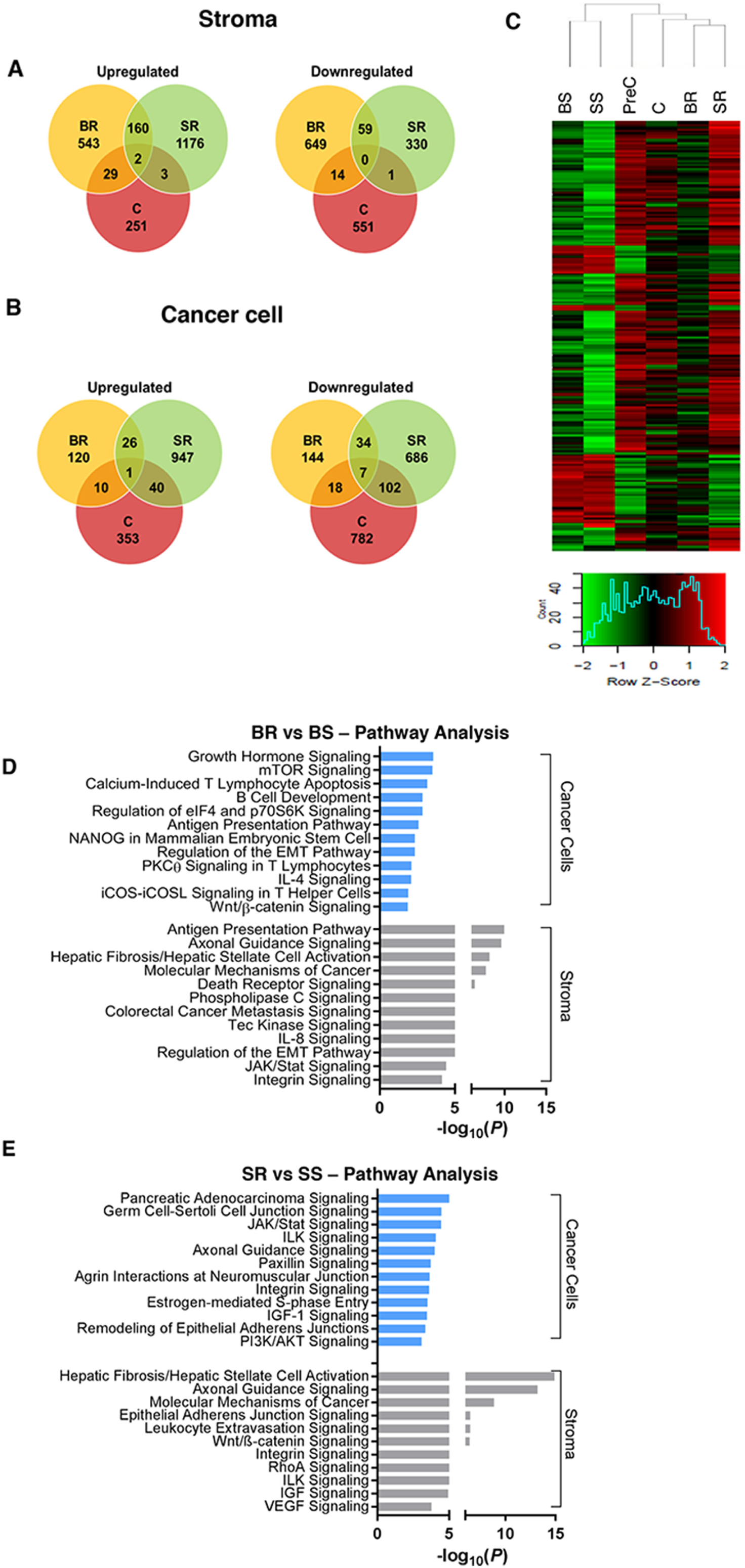 Analysis of gene expression changes in anti-VEGF resistant tumors.