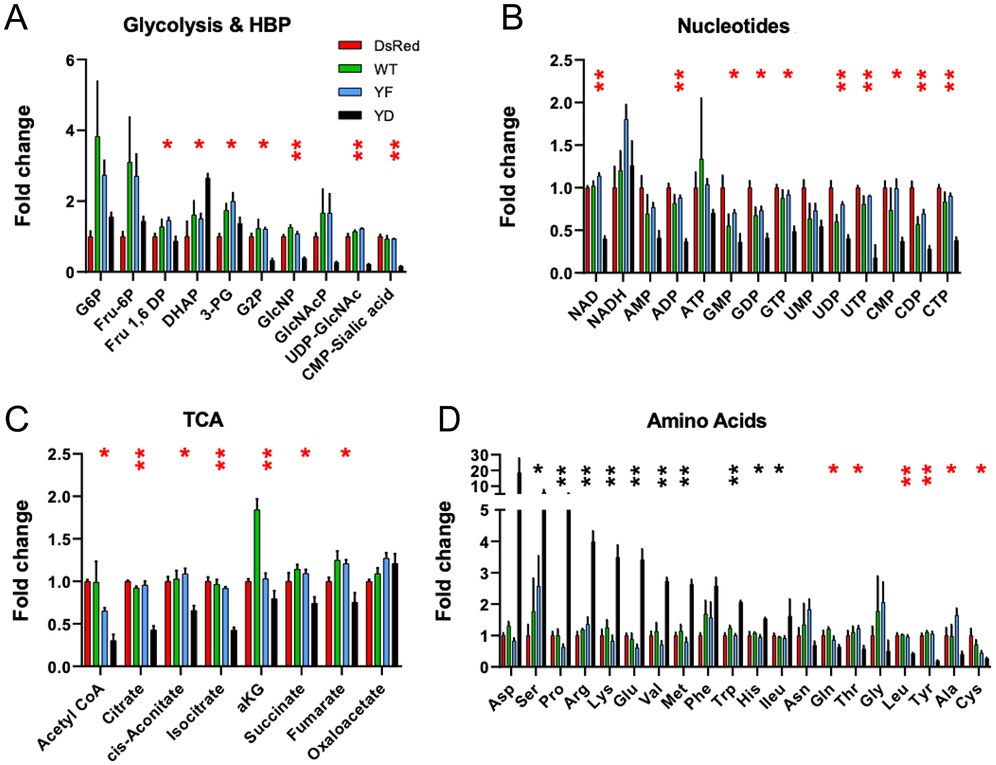 Metabolite profiles are consistent with slow-growth phenotype in Cav1Y14D tumors.