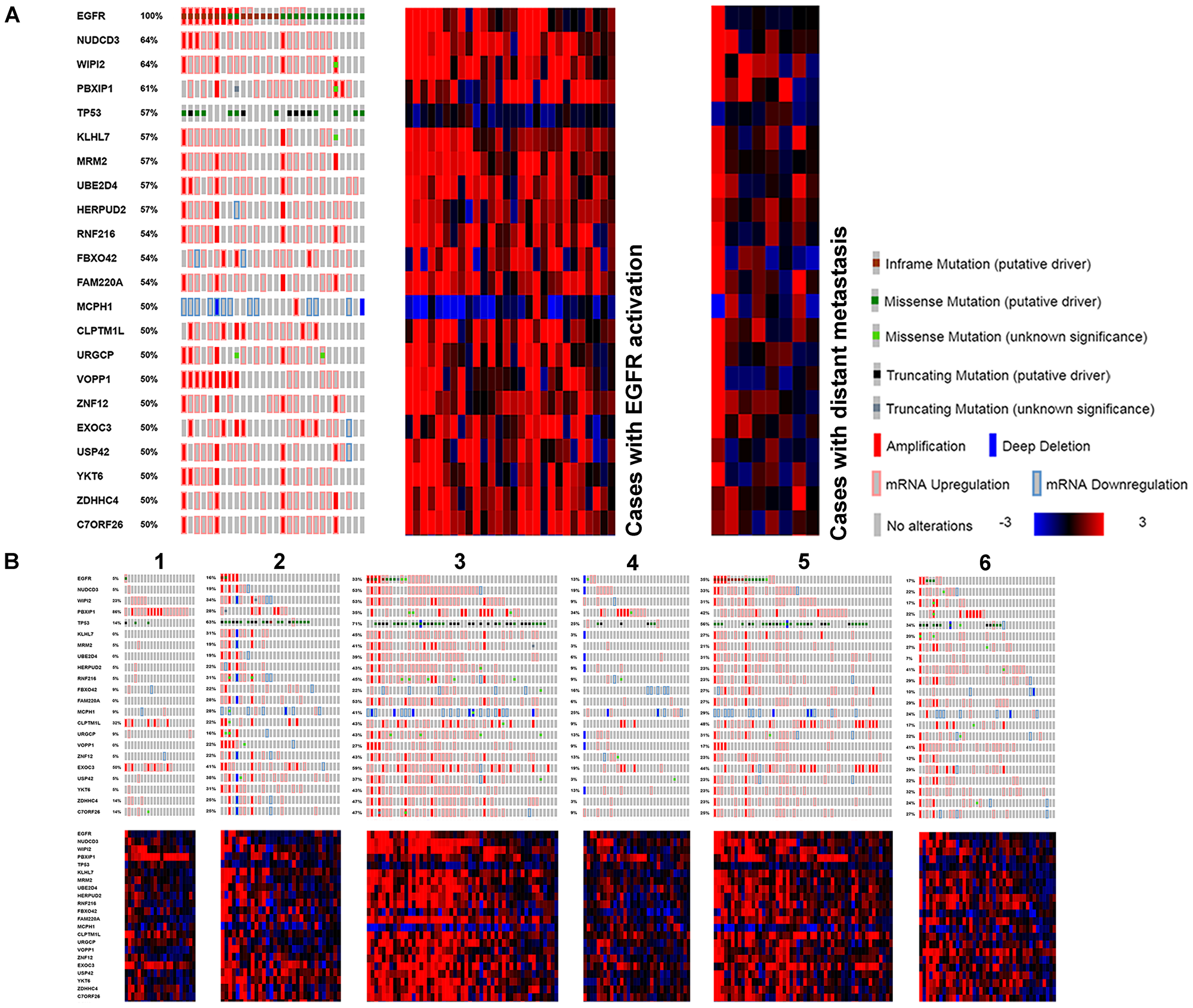 Genes found with genomic and transcriptomic alterations in EGFR activated LUAD, with high frequency.