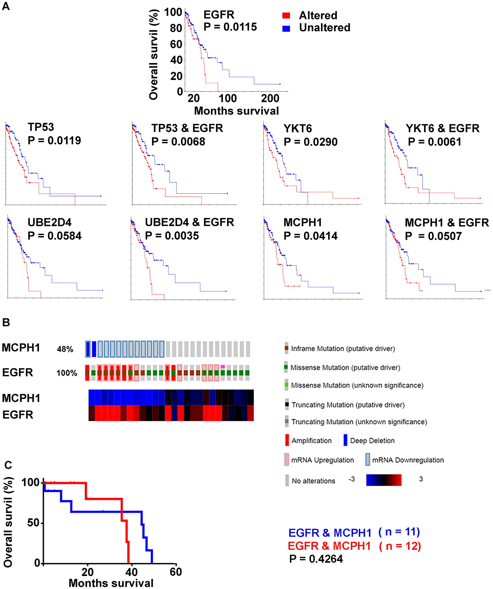 Decreased overall survival (Kaplan Meier survival plots, Log rank; LUAD with survival data, n = 197) by genes with high frequency alterations in EGFR activated cases.