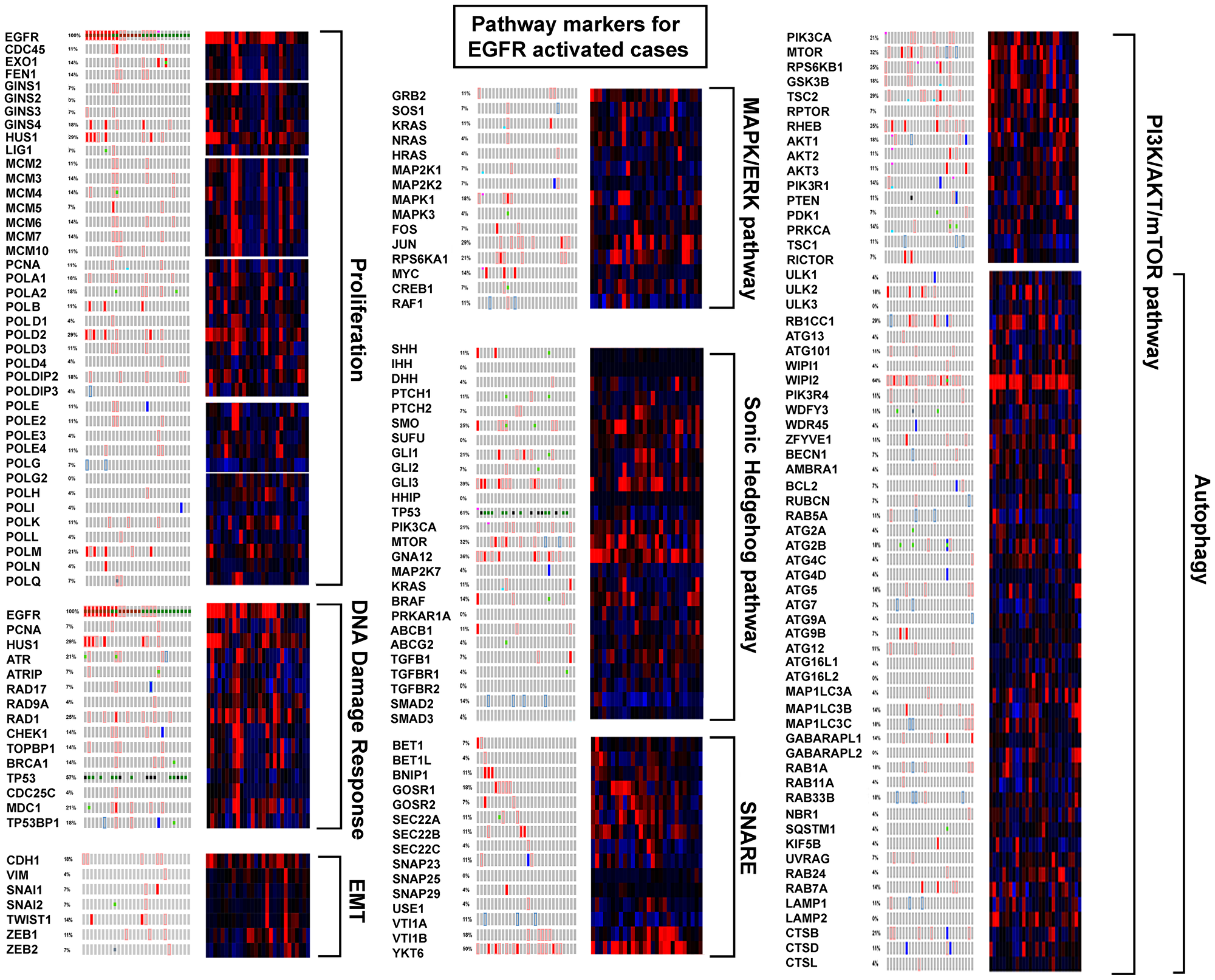 Figure 7: EGFR activated cases compared to pathway markers.