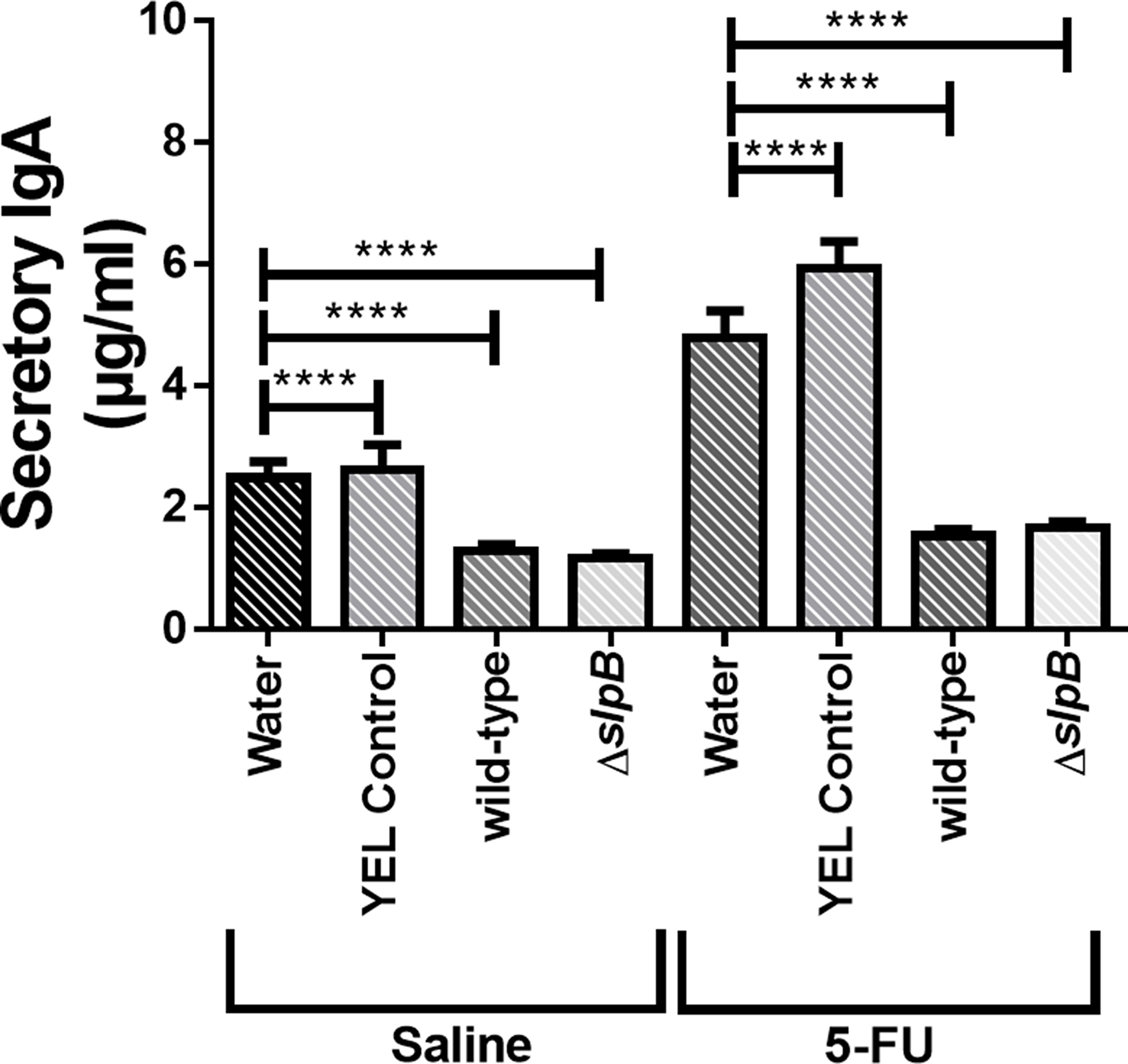 Secretory immunoglobulin A (IgA) in intestinal small bowel content.