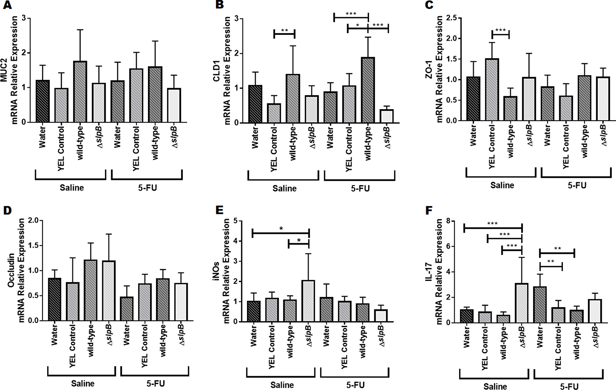 Propionibacterium freudenreichii &Delta;slpB induces expression of IL-17 and of inducible NOS (iNOS) in healthy mice.