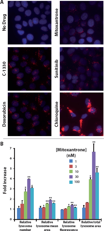 Hydrophobic weak base drugs induce lysosomal biogenesis in MCF-7 breast cancer cells.