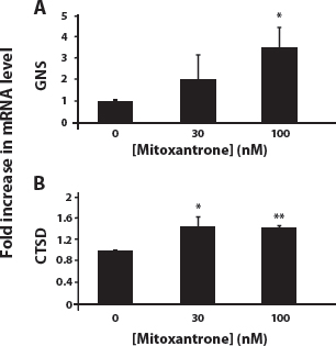 Exposure of MCF-7 cells to mitoxantrone induces an increase in gene expression of the established lysosomal enzyme markers GNS and CTSD.