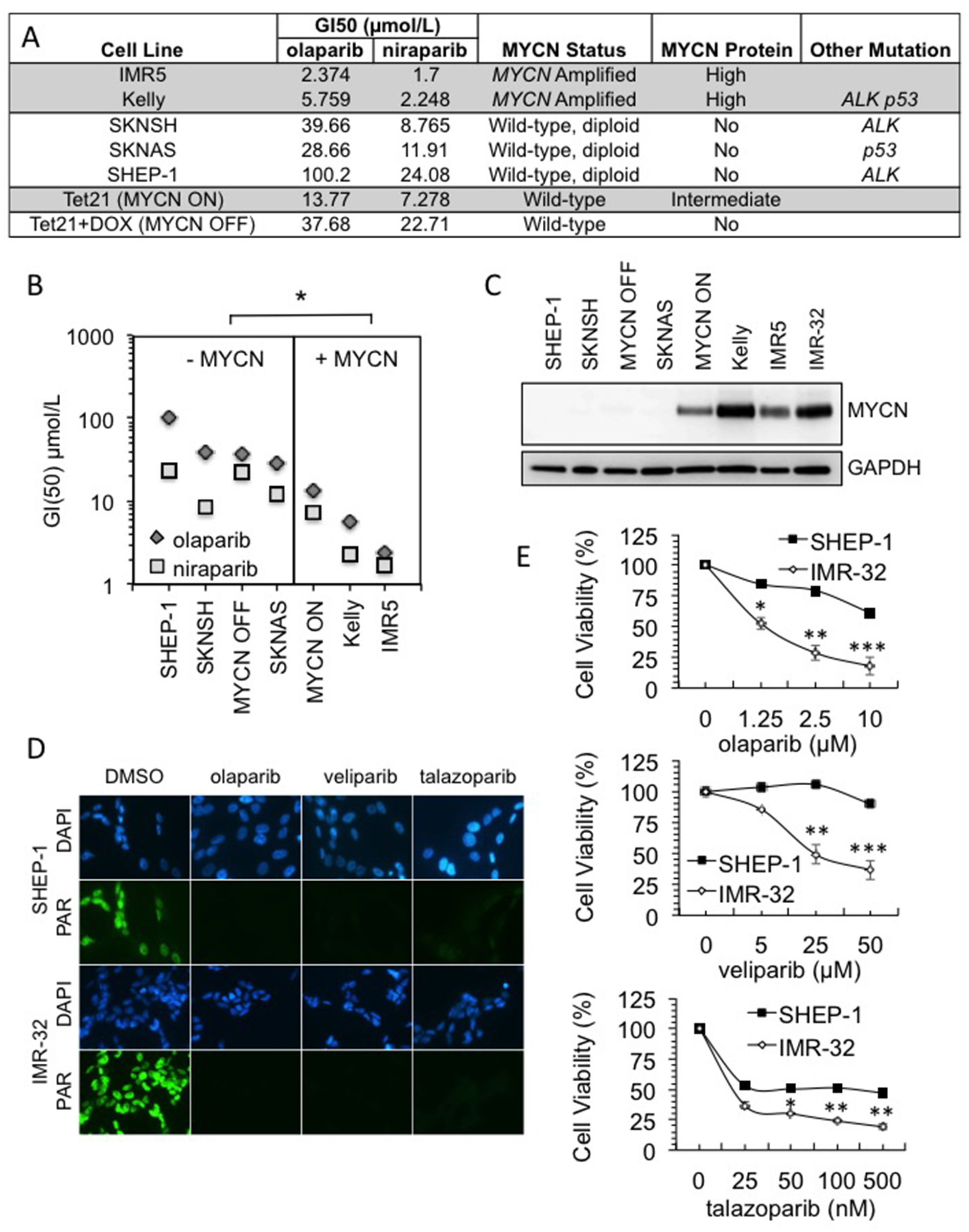 MYCN amplification influences sensitivity to PARP inhibition in a range of NB cell lines.