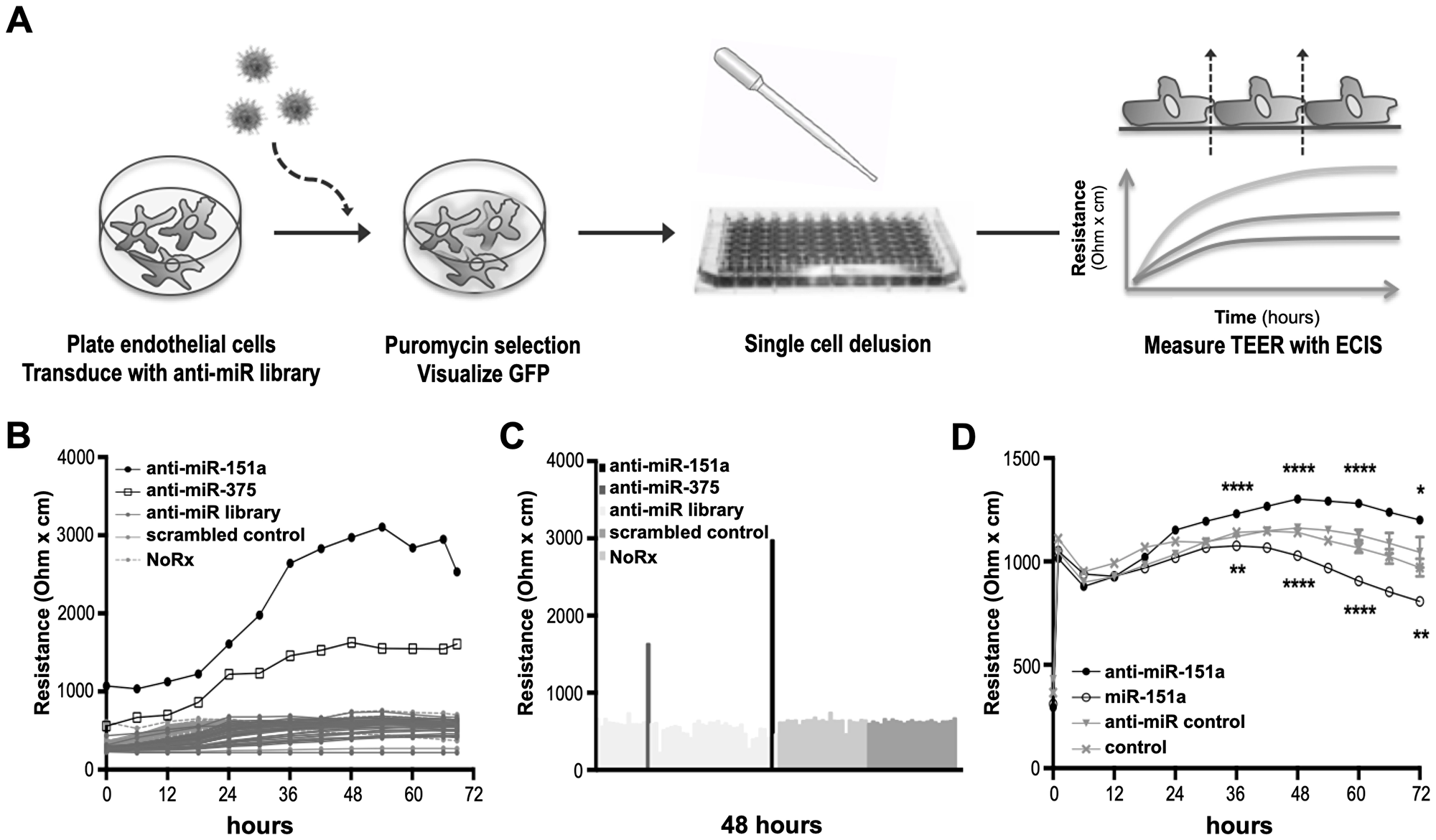 Identification of miRs regulating cell-cell contact.