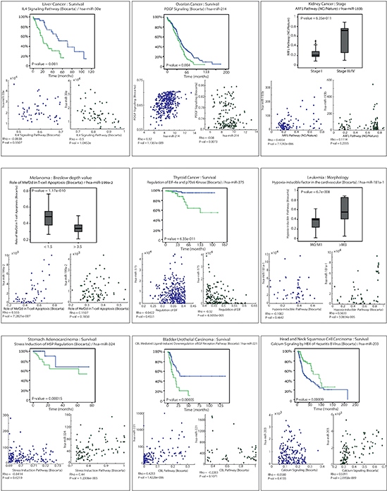 Results from nine different cancer datasets from the TCGA.