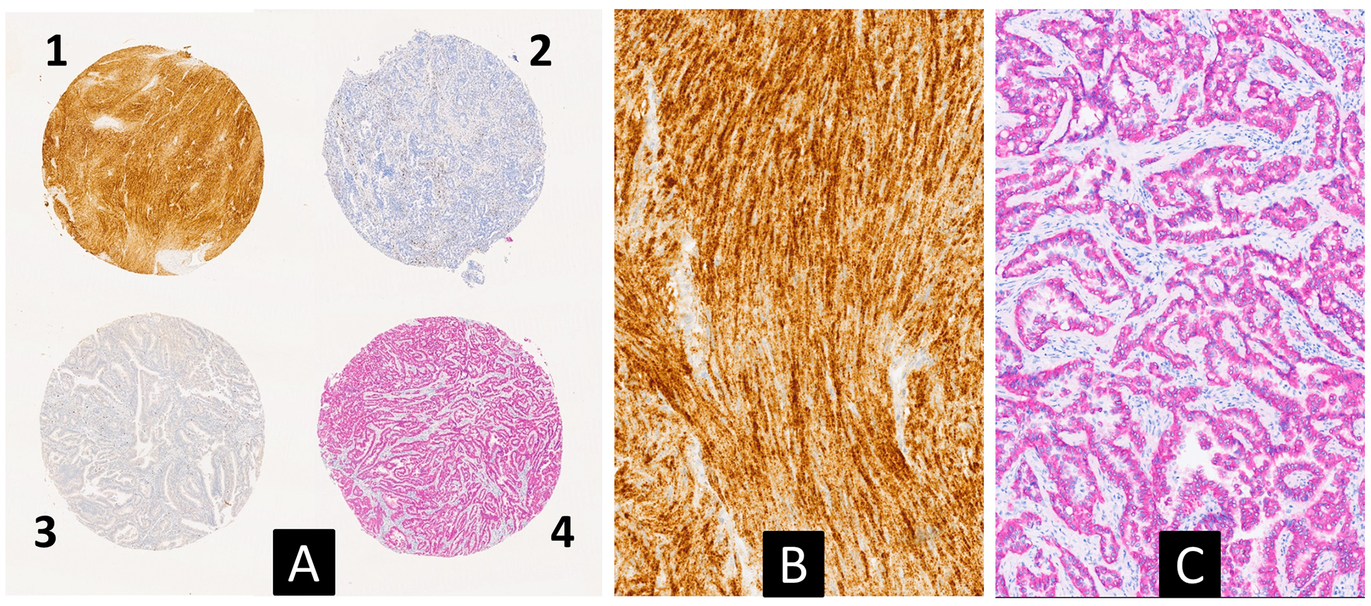 Figure 4: