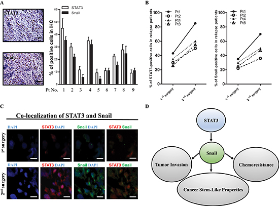 High-level coexpression of STAT3 and Snail present in recurrent ATRT samples.