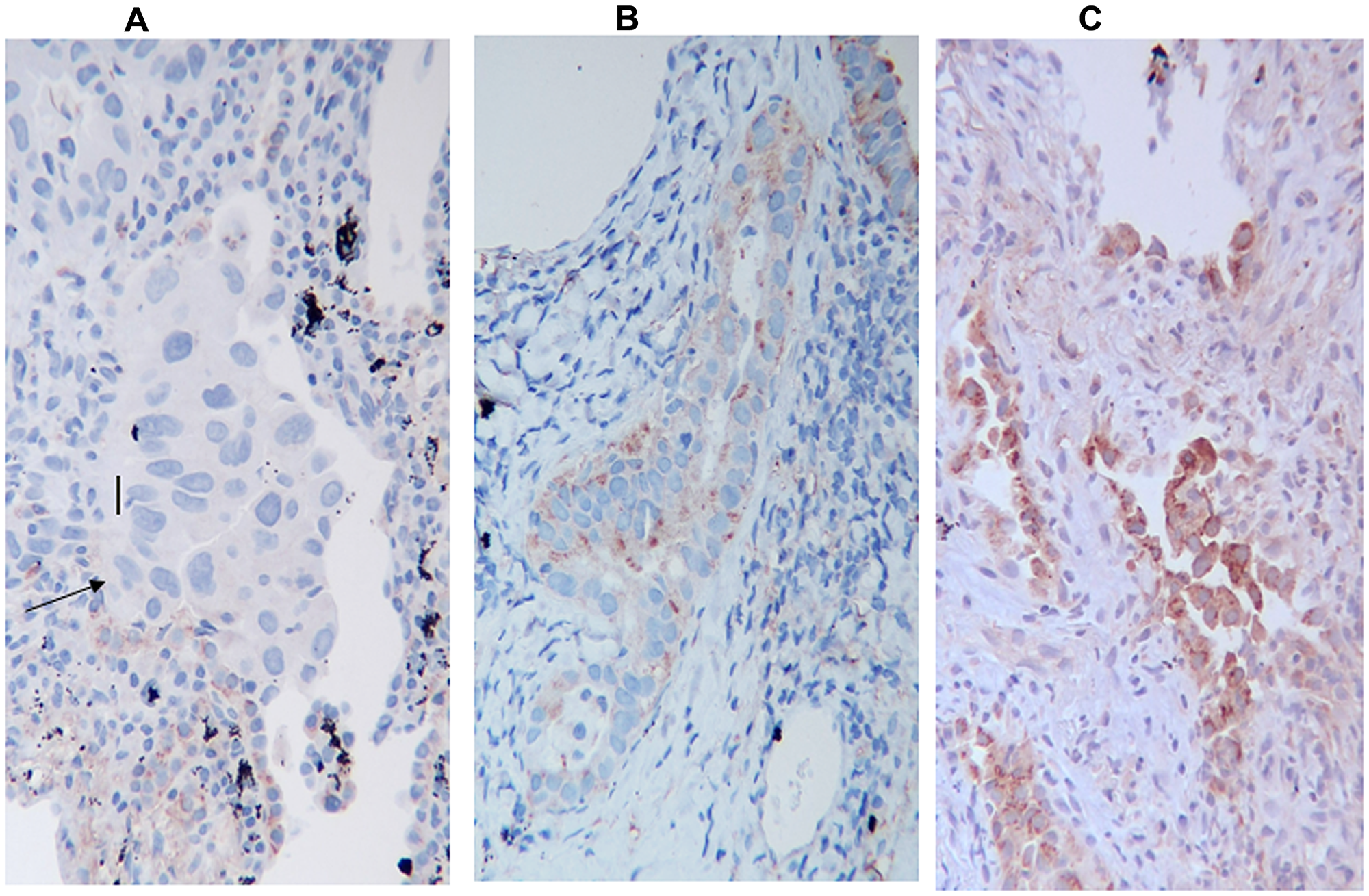 Figure 4: