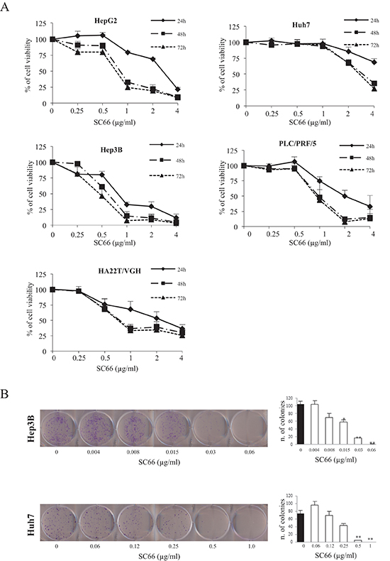 SC66 is cytotoxic to HCC cell lines.