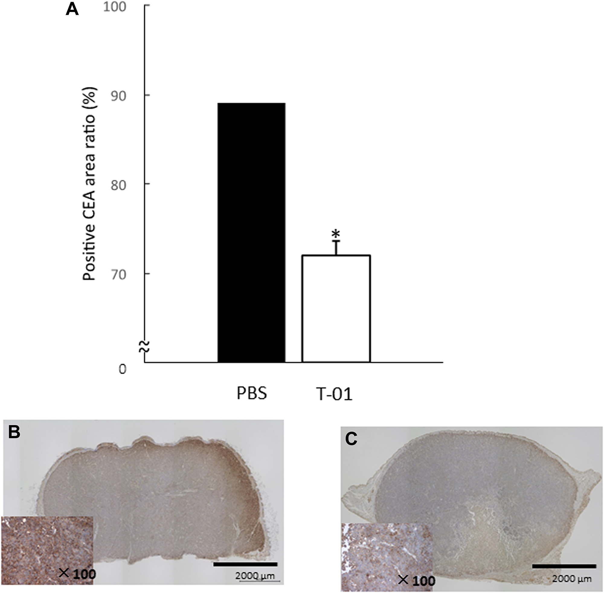 Quantitative analysis of intratumoral CEA in mice with subcutaneous tumors.