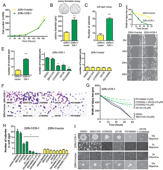 CRIPTO overexpression is associated with increased malignant properties of prostate cancer cells.