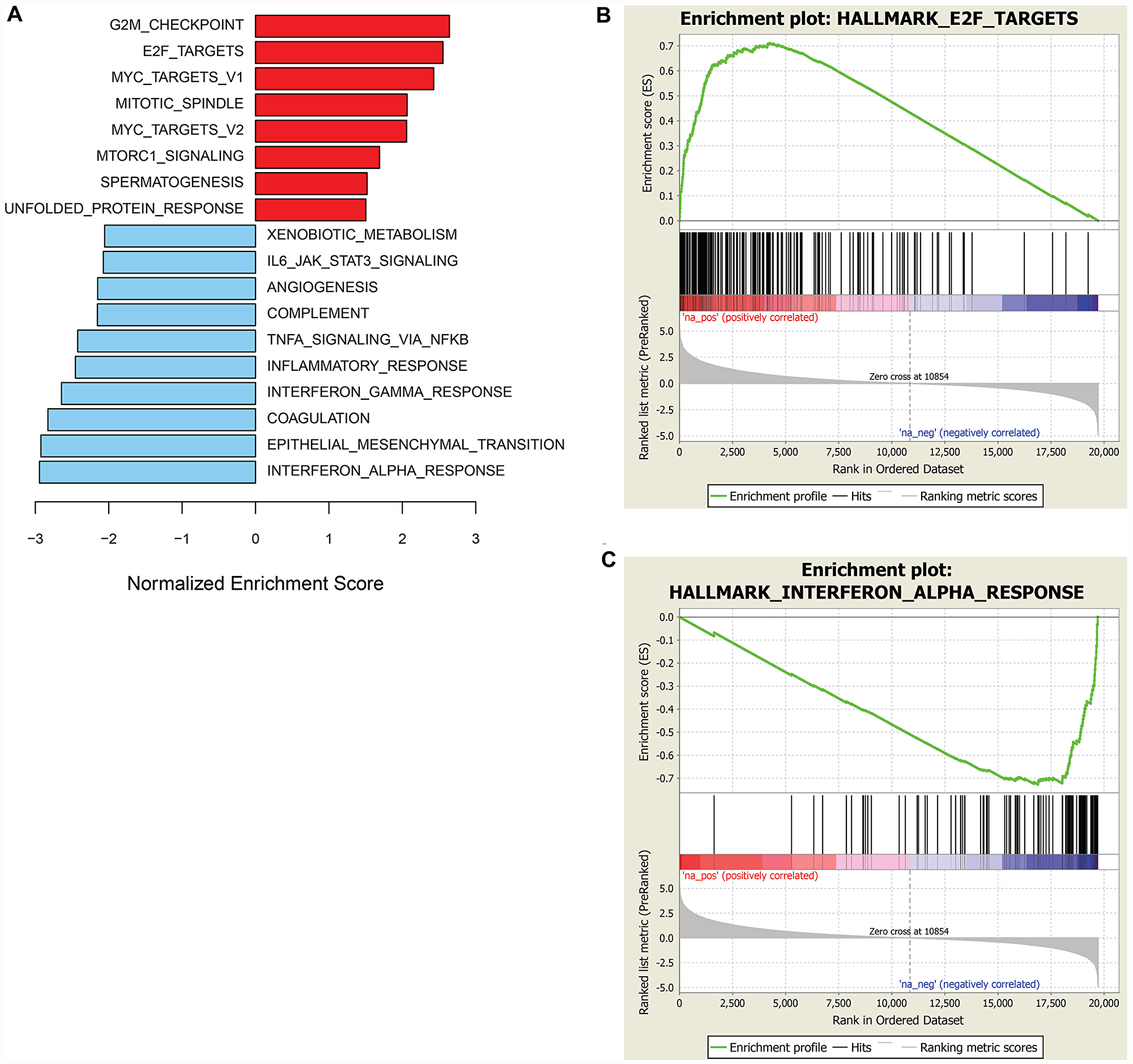 GSEA of genes associated with sensitivity or resistance to prexasertib in the sarcoma and neuroblastoma xenograft cohort.