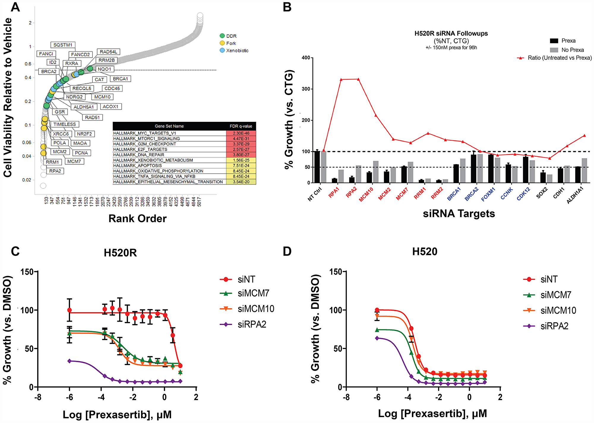 Short-hairpin (sh) modifier screen applied to NCI-H520R to identify genes capable of sensitizing cells to prexasertib treatment upon knockdown.