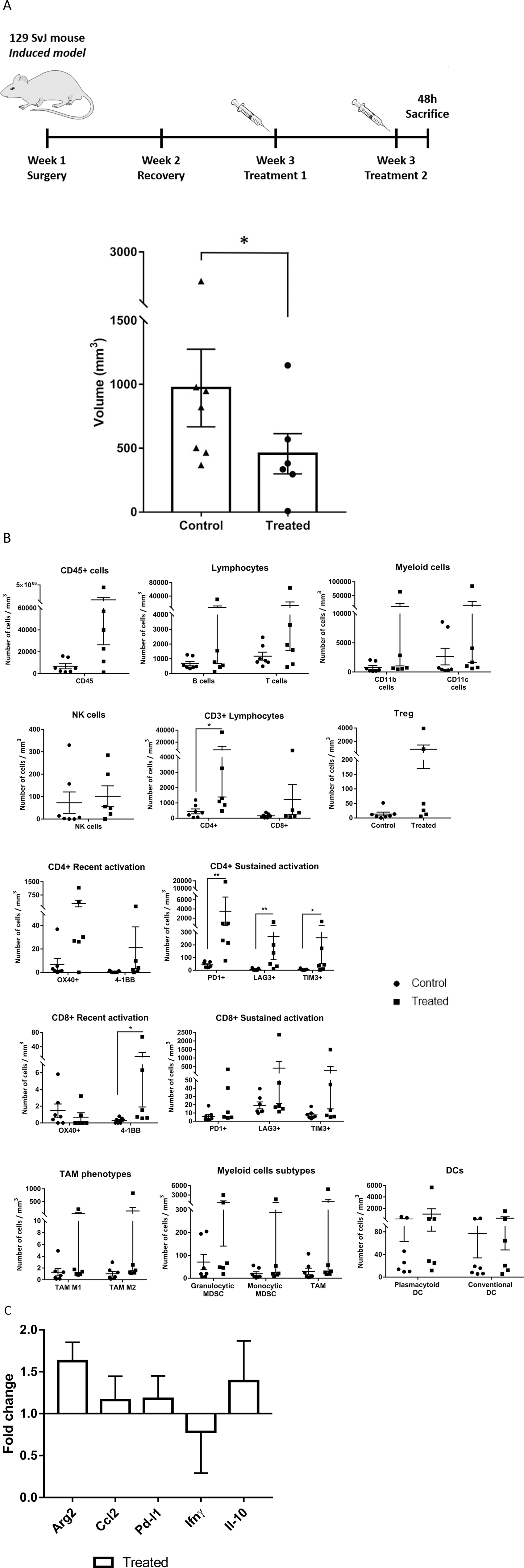 Effects of systemically administered mCelyvir in tumors in an induced model of NB.