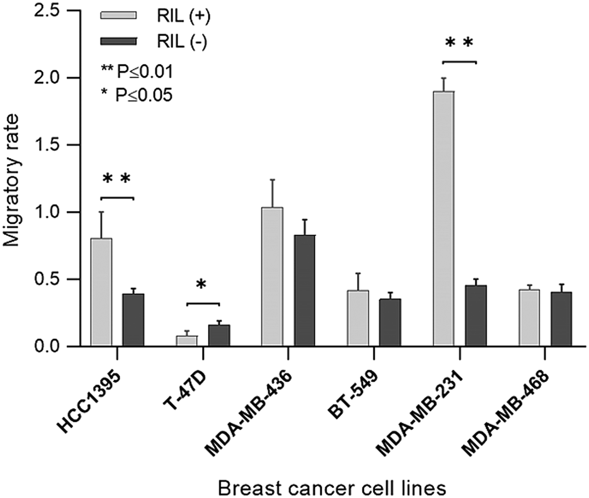 The migratory activity of the transgenic RIL (+) and RIL (-) cells throughout the panel of breast cancer cell lines.
