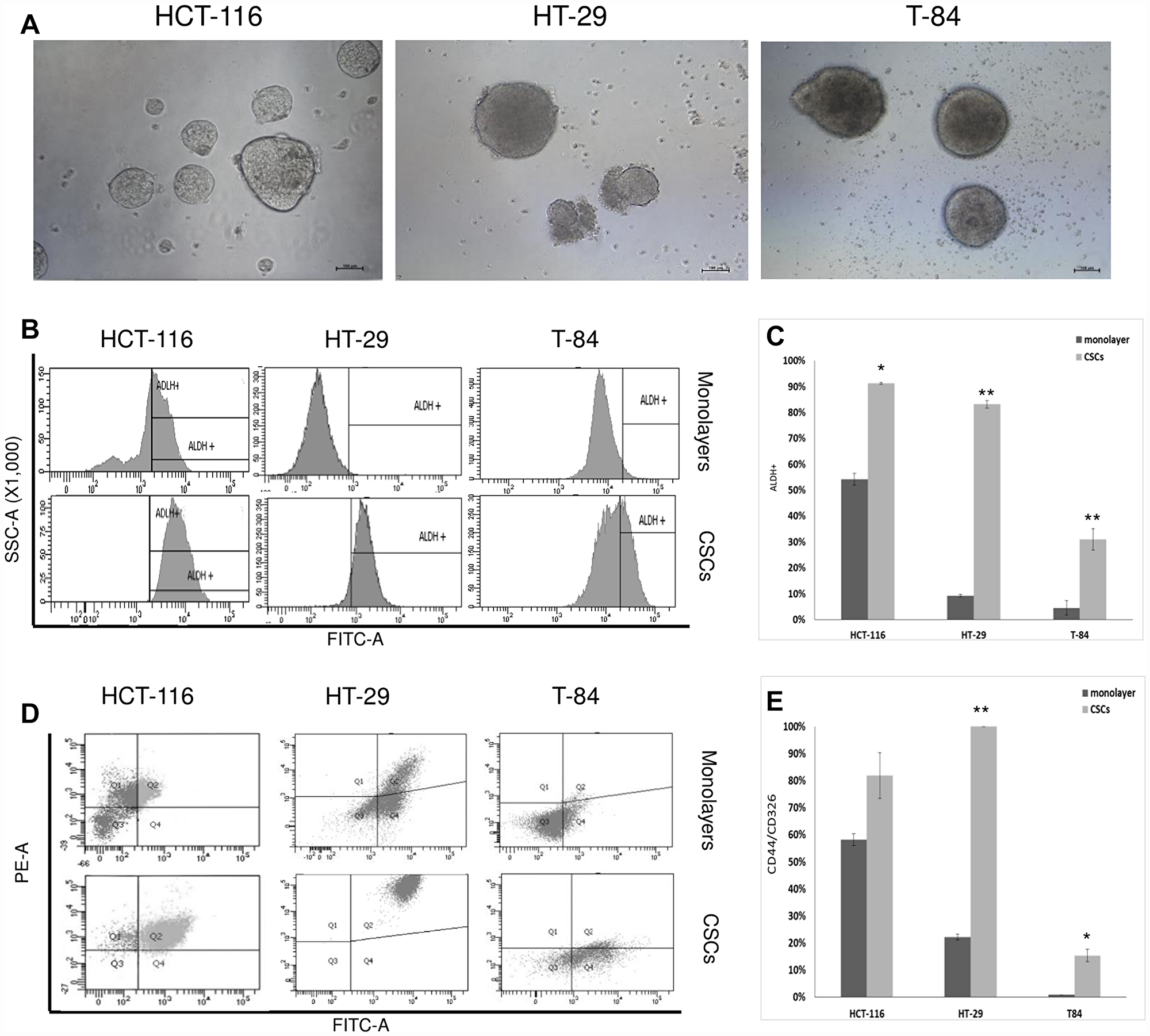CSC enrichment of HCT-116, HT-29 ad T-84 cells and flow cytometric analyses of ALDH1 and CD44/CD326.