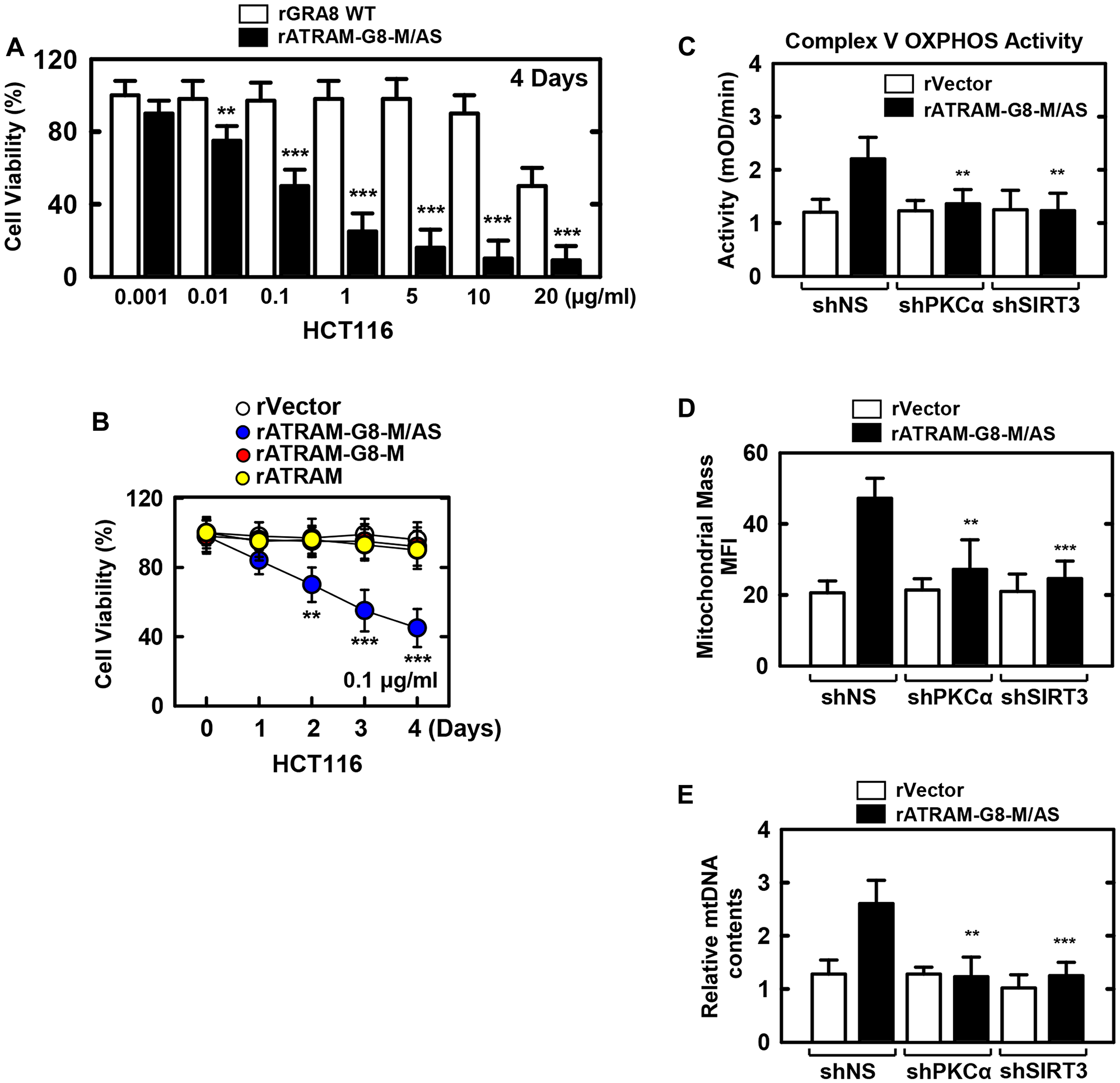 The rATRAM-GRA8-M/AS-induced the HCT116 cell death by mitochondria activation.
